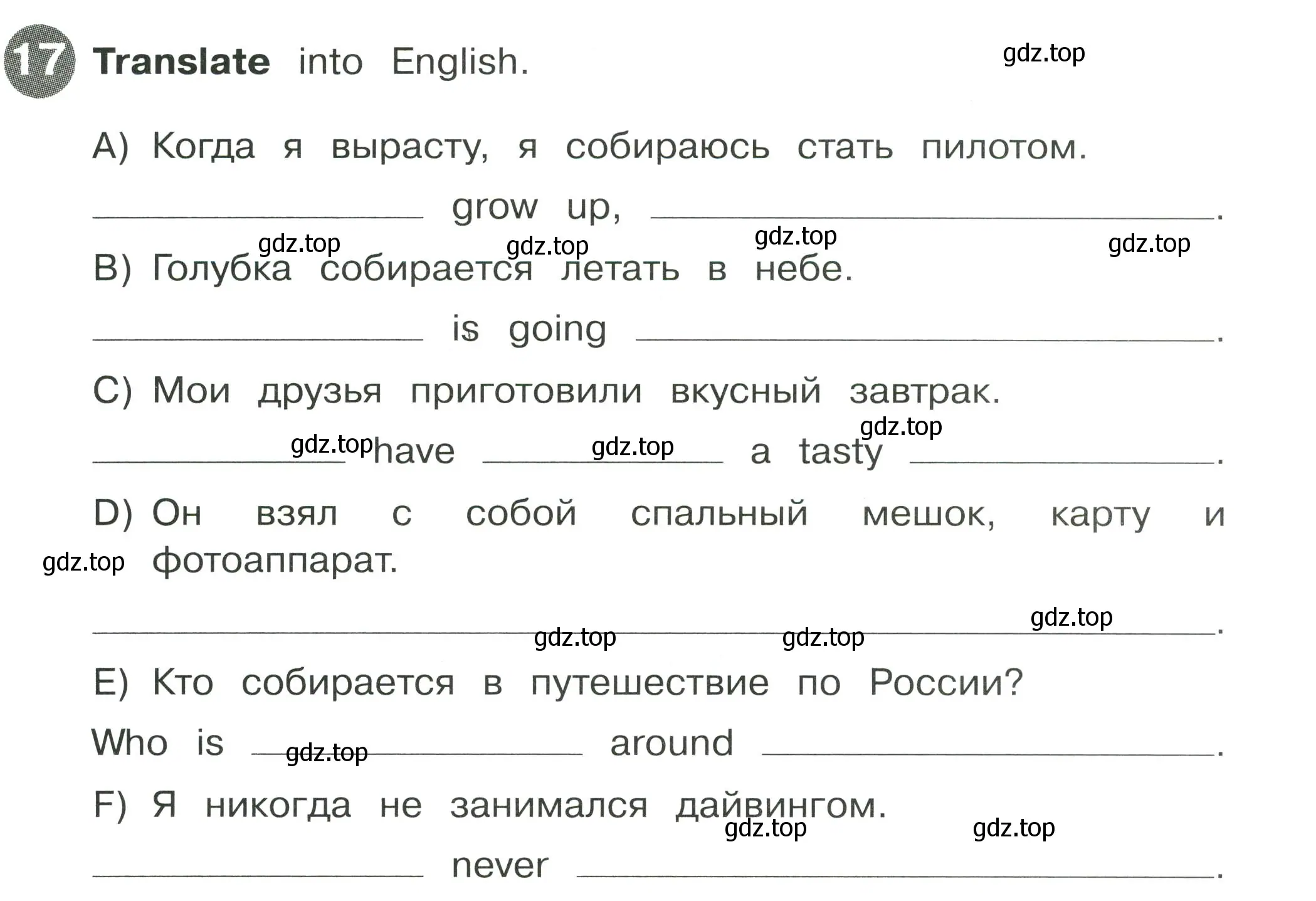 Условие номер 17 (страница 119) гдз по английскому языку 4 класс Котова, сборник упражнений