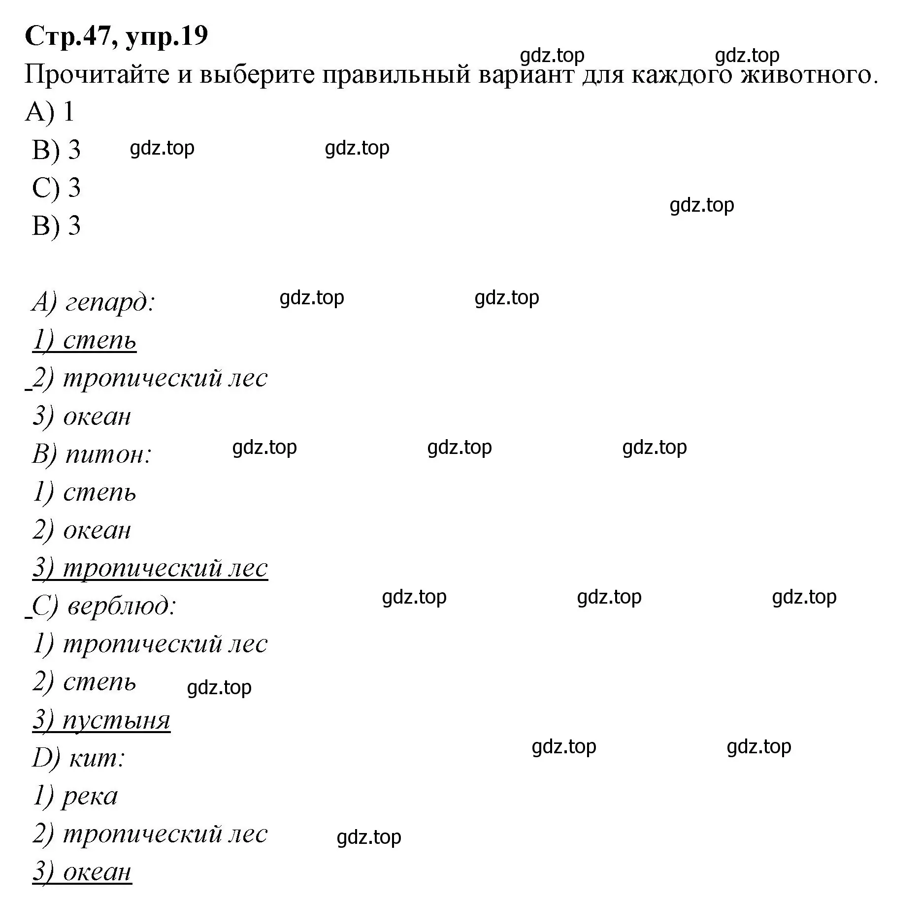 Решение номер 19 (страница 47) гдз по английскому языку 4 класс Котова, сборник упражнений