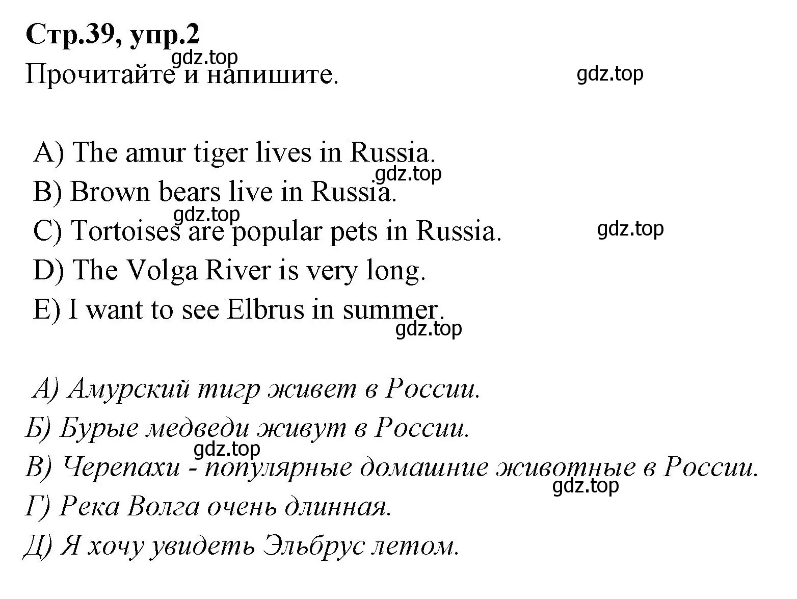 Решение номер 2 (страница 39) гдз по английскому языку 4 класс Котова, сборник упражнений