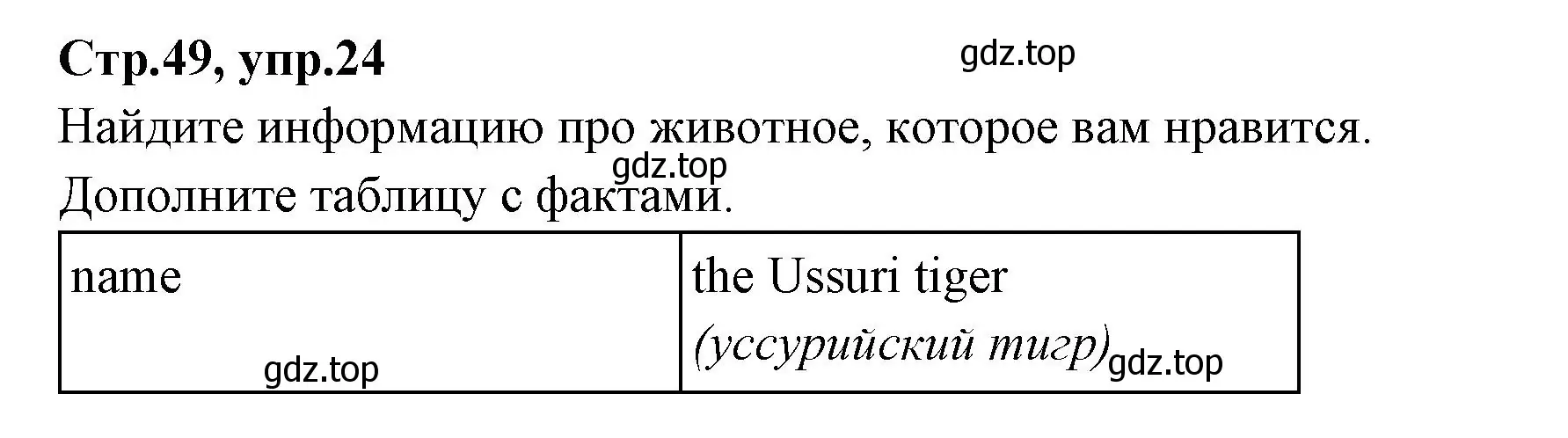 Решение номер 24 (страница 49) гдз по английскому языку 4 класс Котова, сборник упражнений