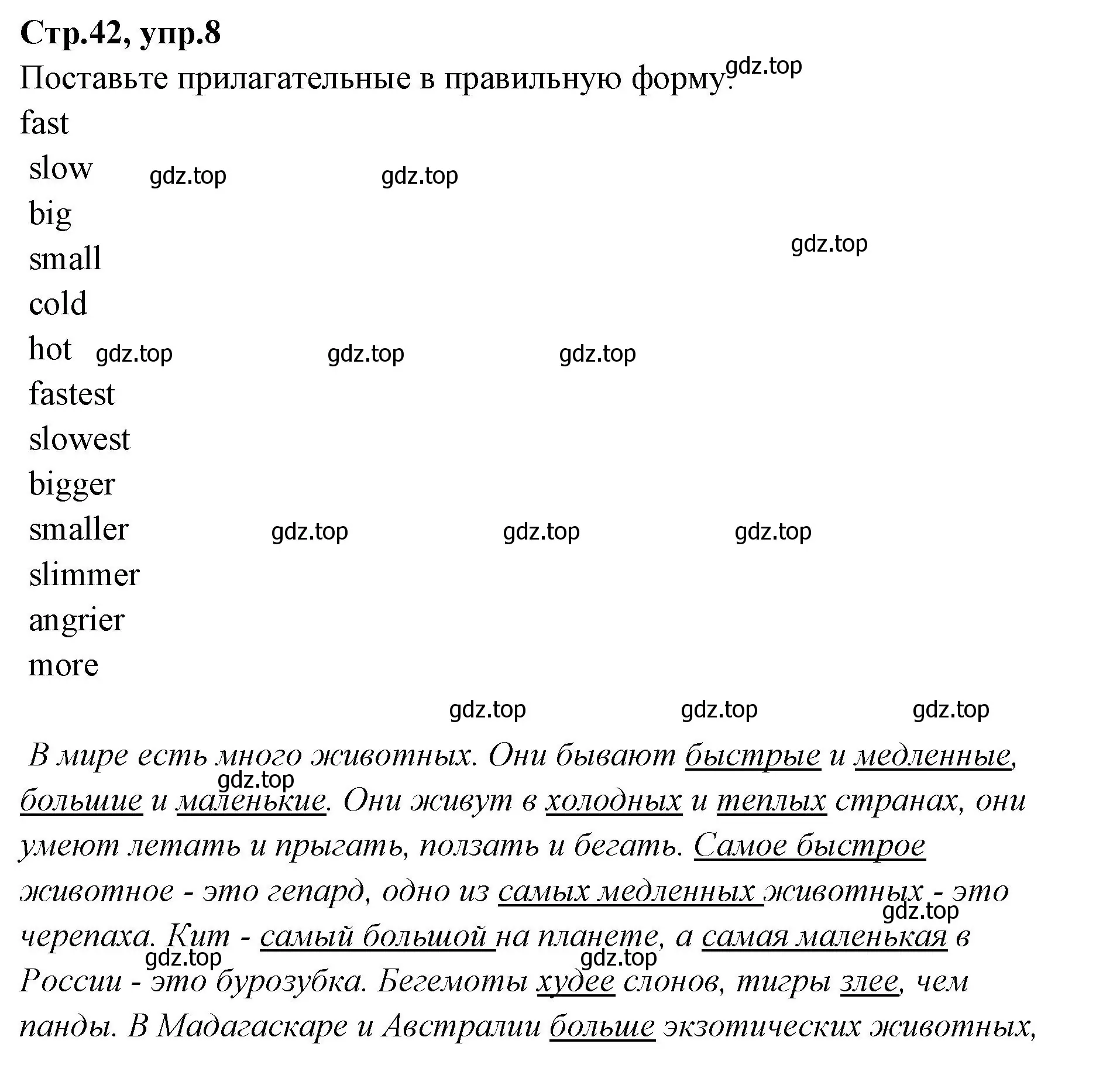 Решение номер 8 (страница 42) гдз по английскому языку 4 класс Котова, сборник упражнений