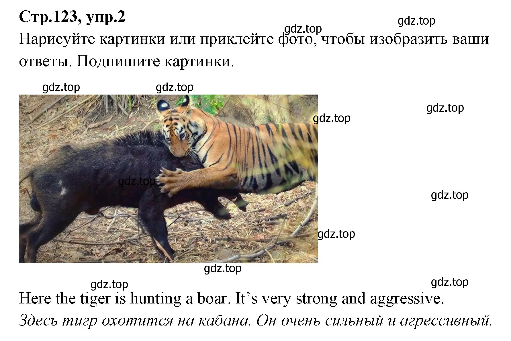 Решение номер 2 (страница 123) гдз по английскому языку 4 класс Котова, сборник упражнений