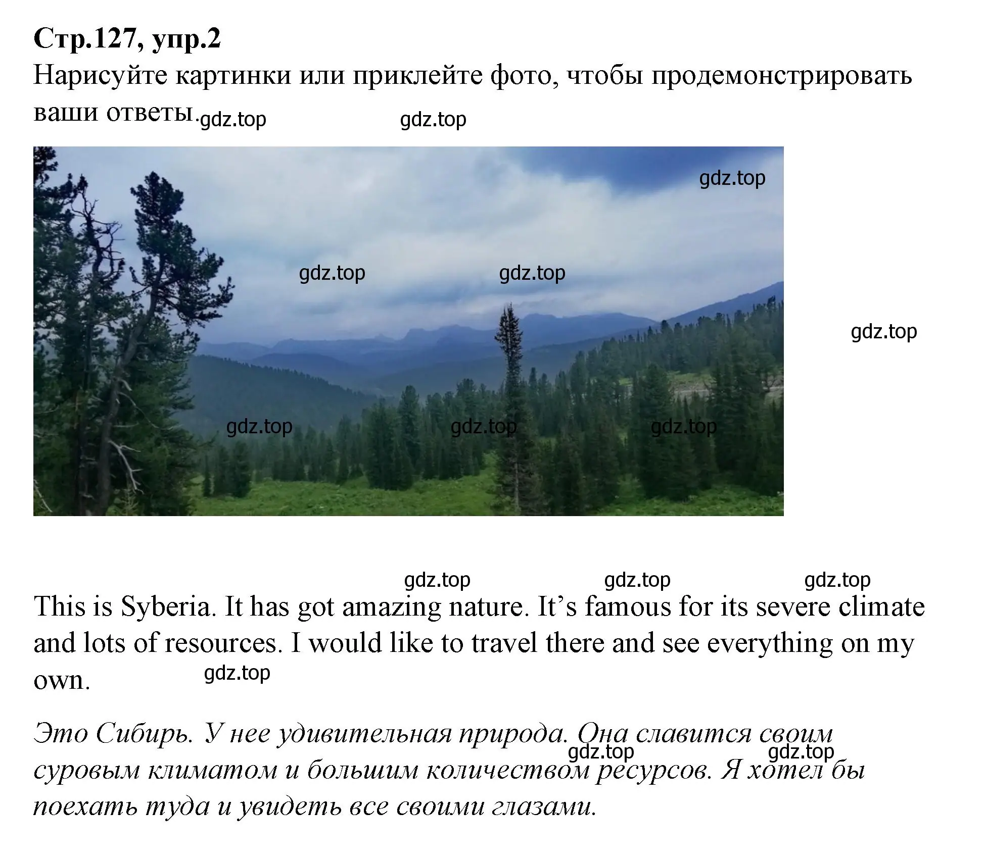 Решение номер 2 (страница 127) гдз по английскому языку 4 класс Котова, сборник упражнений