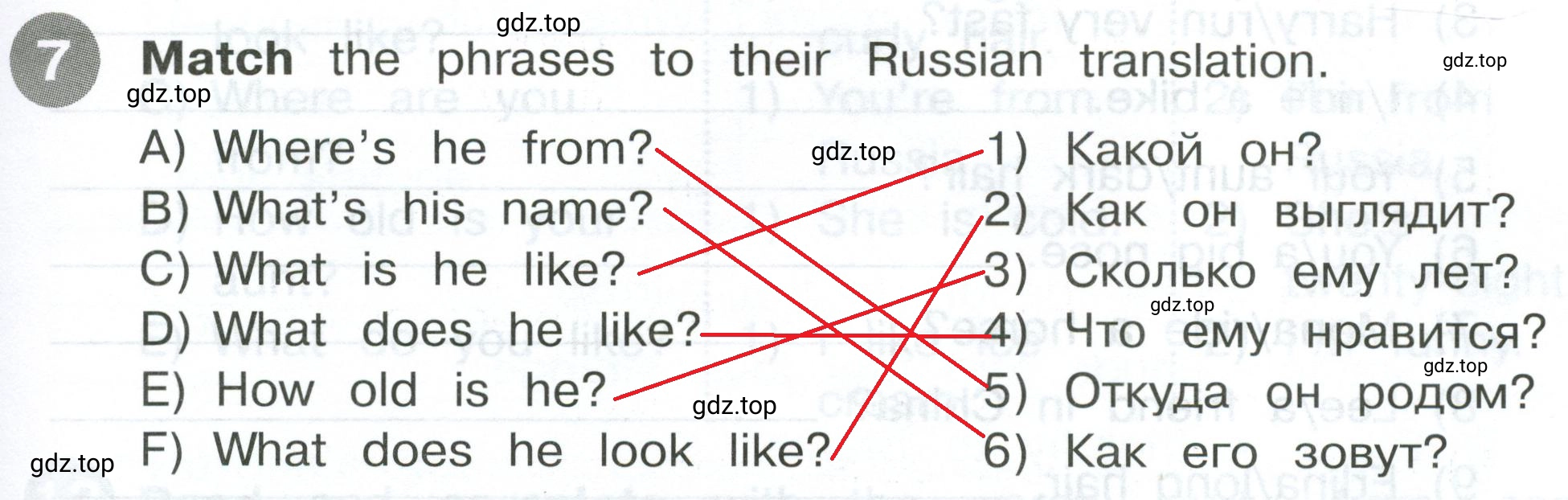 Решение 2. номер 7 (страница 5) гдз по английскому языку 4 класс Котова, сборник упражнений