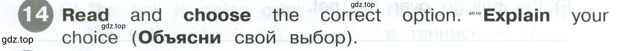 Решение 2. номер 14 (страница 14) гдз по английскому языку 4 класс Котова, сборник упражнений