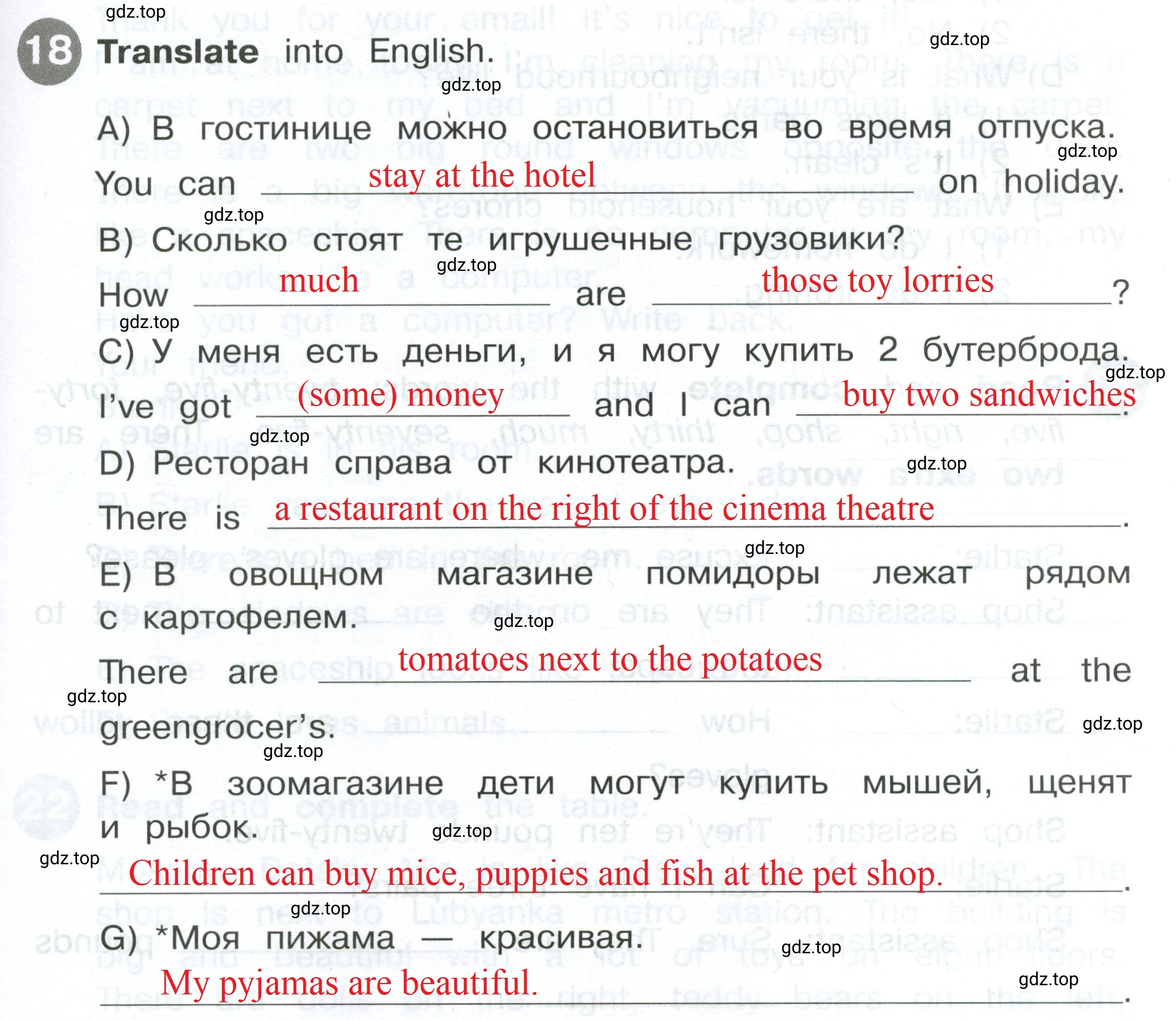 Решение 2. номер 18 (страница 25) гдз по английскому языку 4 класс Котова, сборник упражнений