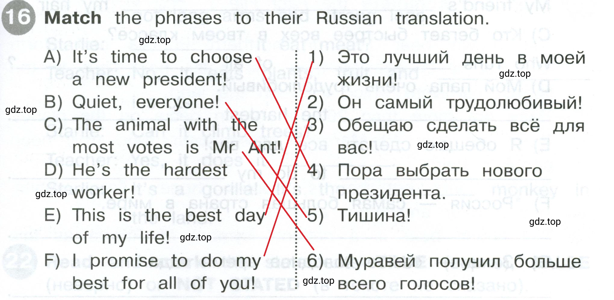 Решение 2. номер 16 (страница 45) гдз по английскому языку 4 класс Котова, сборник упражнений