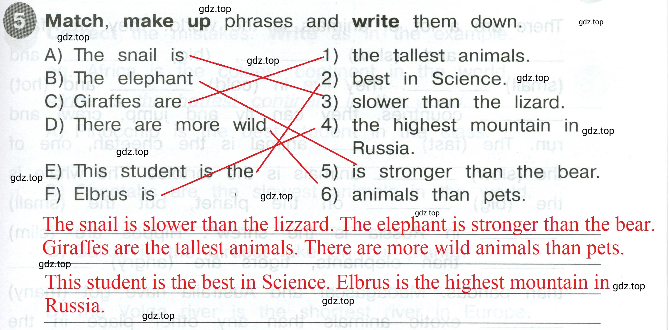 Решение 2. номер 5 (страница 41) гдз по английскому языку 4 класс Котова, сборник упражнений