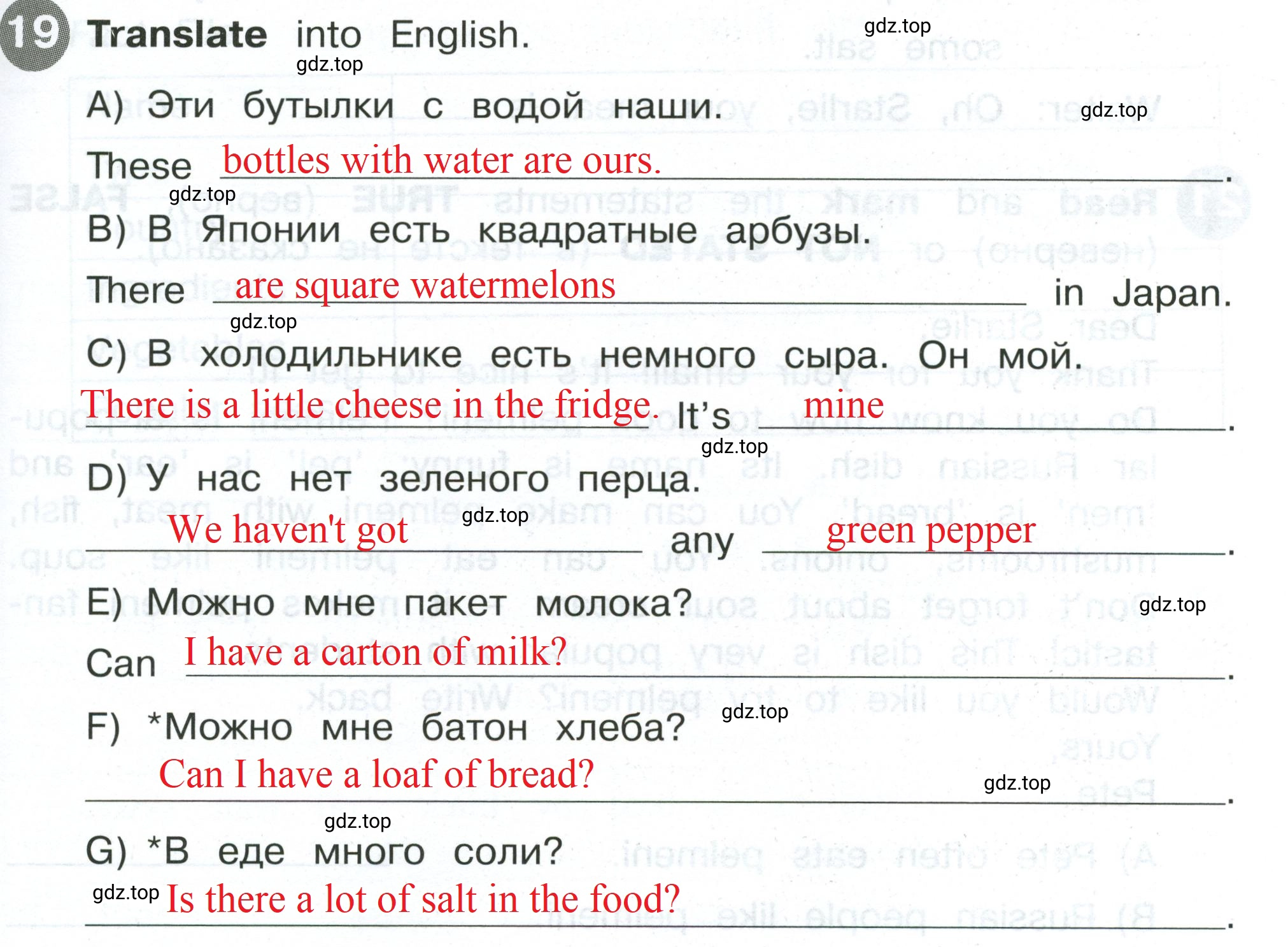 Решение 2. номер 19 (страница 79) гдз по английскому языку 4 класс Котова, сборник упражнений