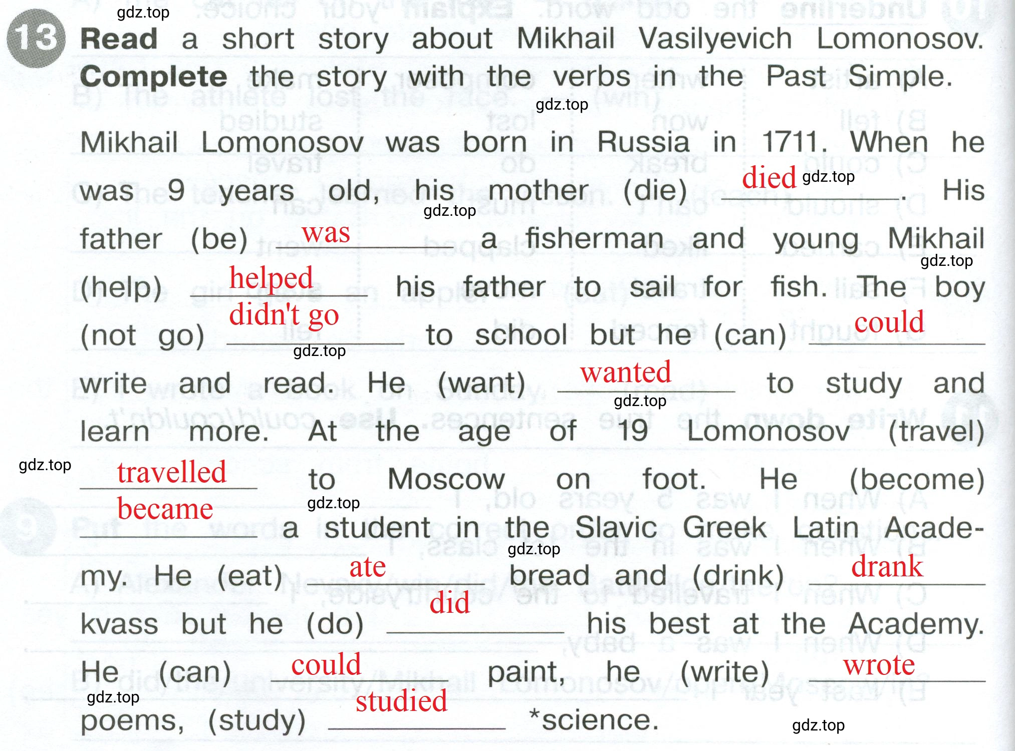 Решение 2. номер 13 (страница 96) гдз по английскому языку 4 класс Котова, сборник упражнений