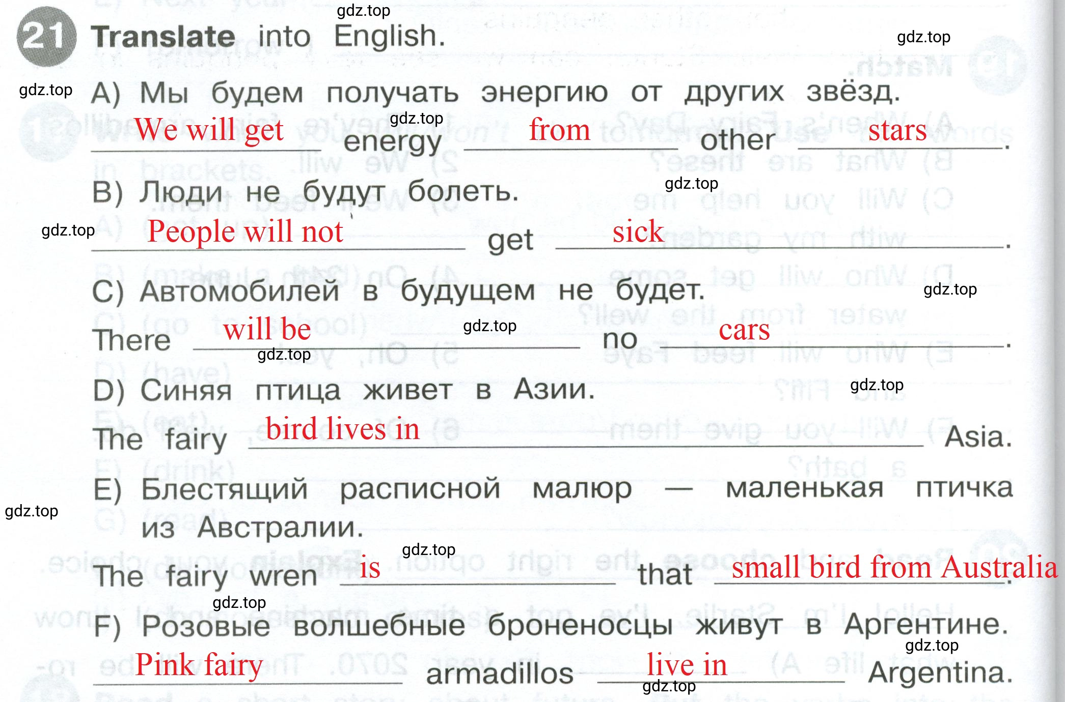 Решение 2. номер 21 (страница 110) гдз по английскому языку 4 класс Котова, сборник упражнений