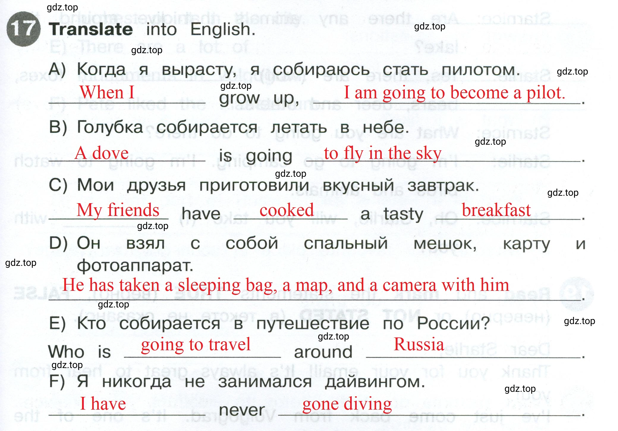 Решение 2. номер 17 (страница 119) гдз по английскому языку 4 класс Котова, сборник упражнений