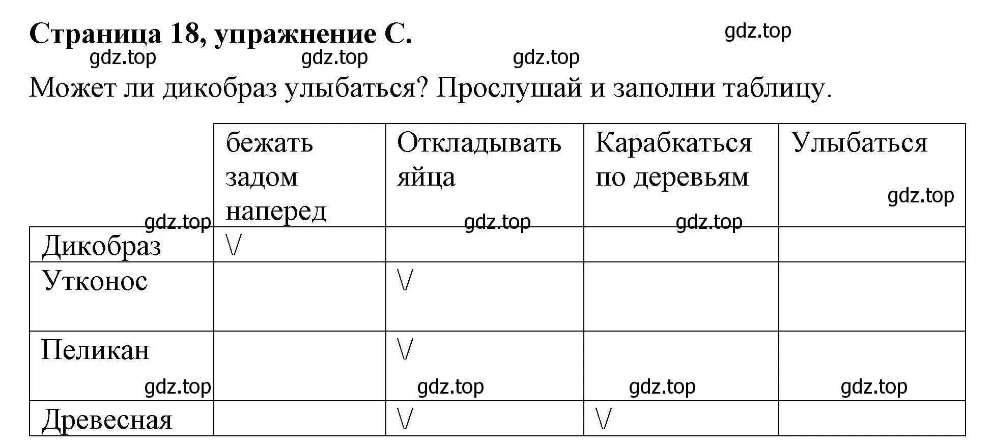 Решение номер C (страница 18) гдз по английскому языку 4 класс Вербицкая, Эббс, рабочая тетрадь