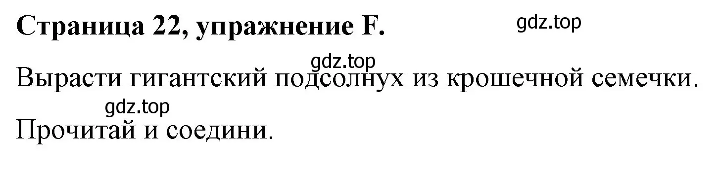 Решение номер F (страница 22) гдз по английскому языку 4 класс Вербицкая, Эббс, рабочая тетрадь