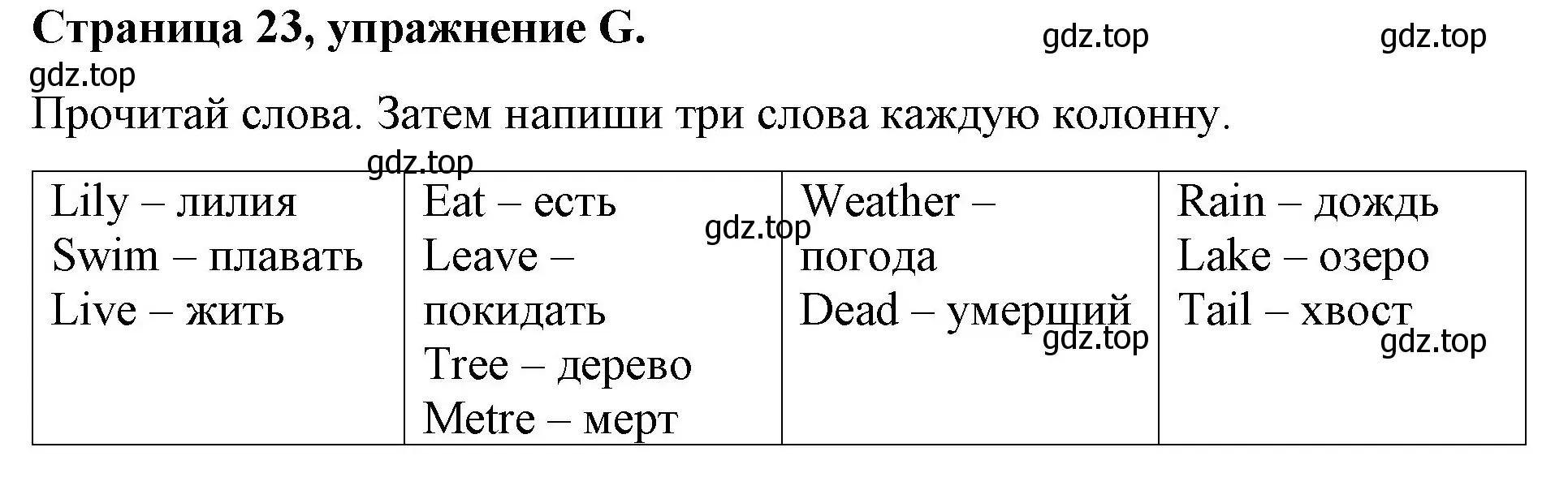 Решение номер G (страница 23) гдз по английскому языку 4 класс Вербицкая, Эббс, рабочая тетрадь