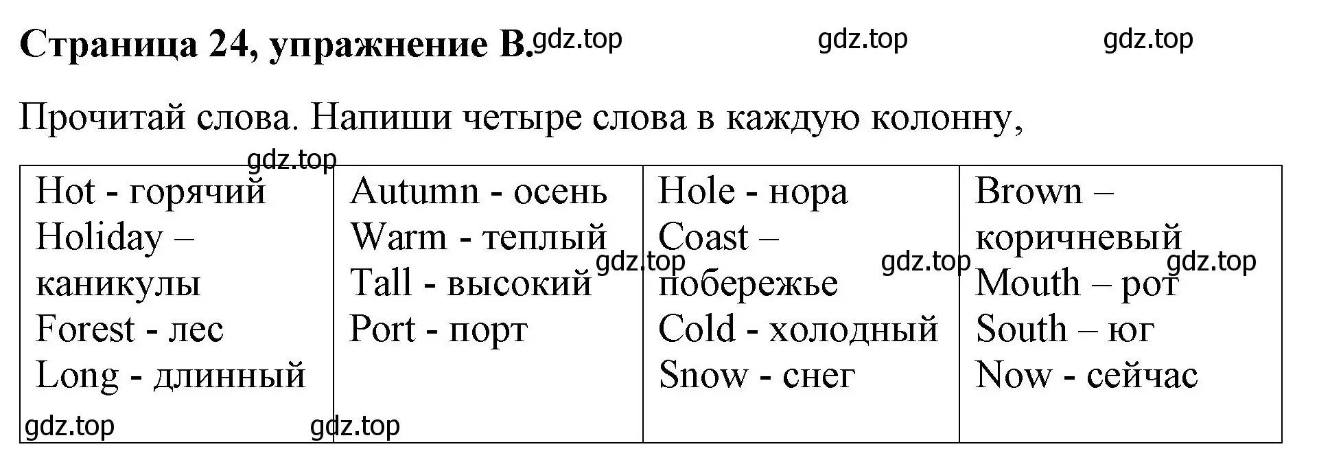 Решение номер B (страница 24) гдз по английскому языку 4 класс Вербицкая, Эббс, рабочая тетрадь