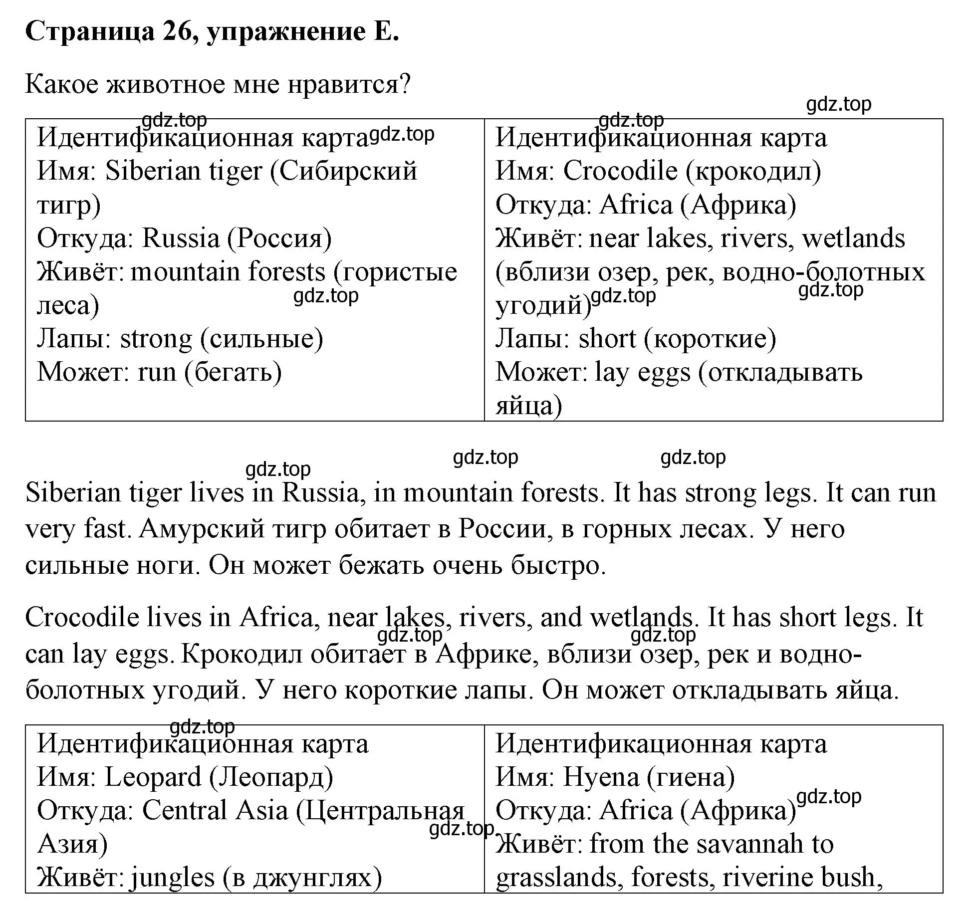 Решение номер E (страница 26) гдз по английскому языку 4 класс Вербицкая, Эббс, рабочая тетрадь