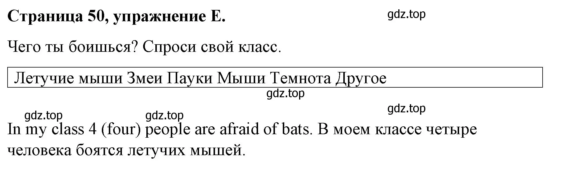 Решение номер E (страница 50) гдз по английскому языку 4 класс Вербицкая, Эббс, рабочая тетрадь