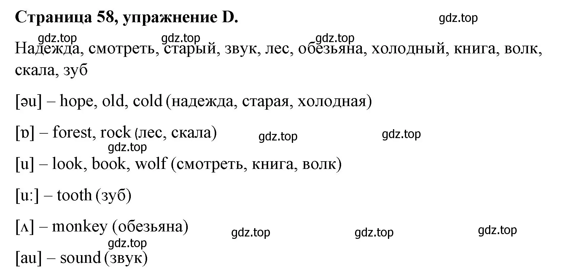 Решение номер D (страница 58) гдз по английскому языку 4 класс Вербицкая, Эббс, рабочая тетрадь