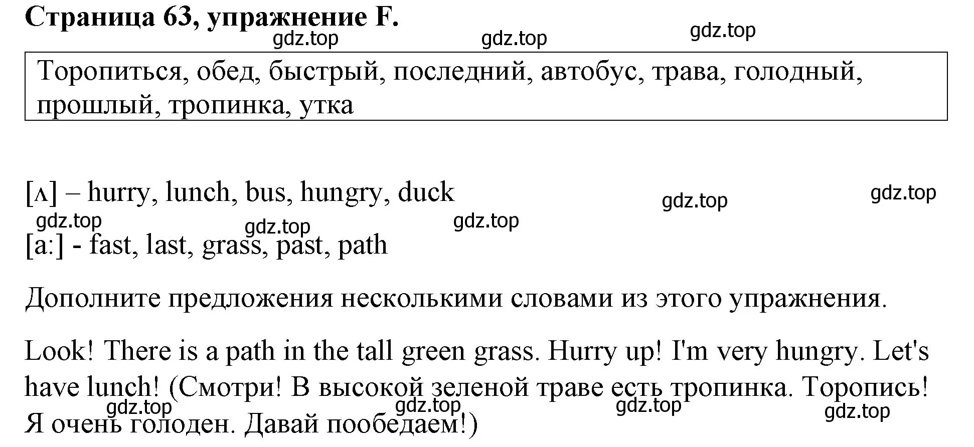 Решение номер F (страница 63) гдз по английскому языку 4 класс Вербицкая, Эббс, рабочая тетрадь