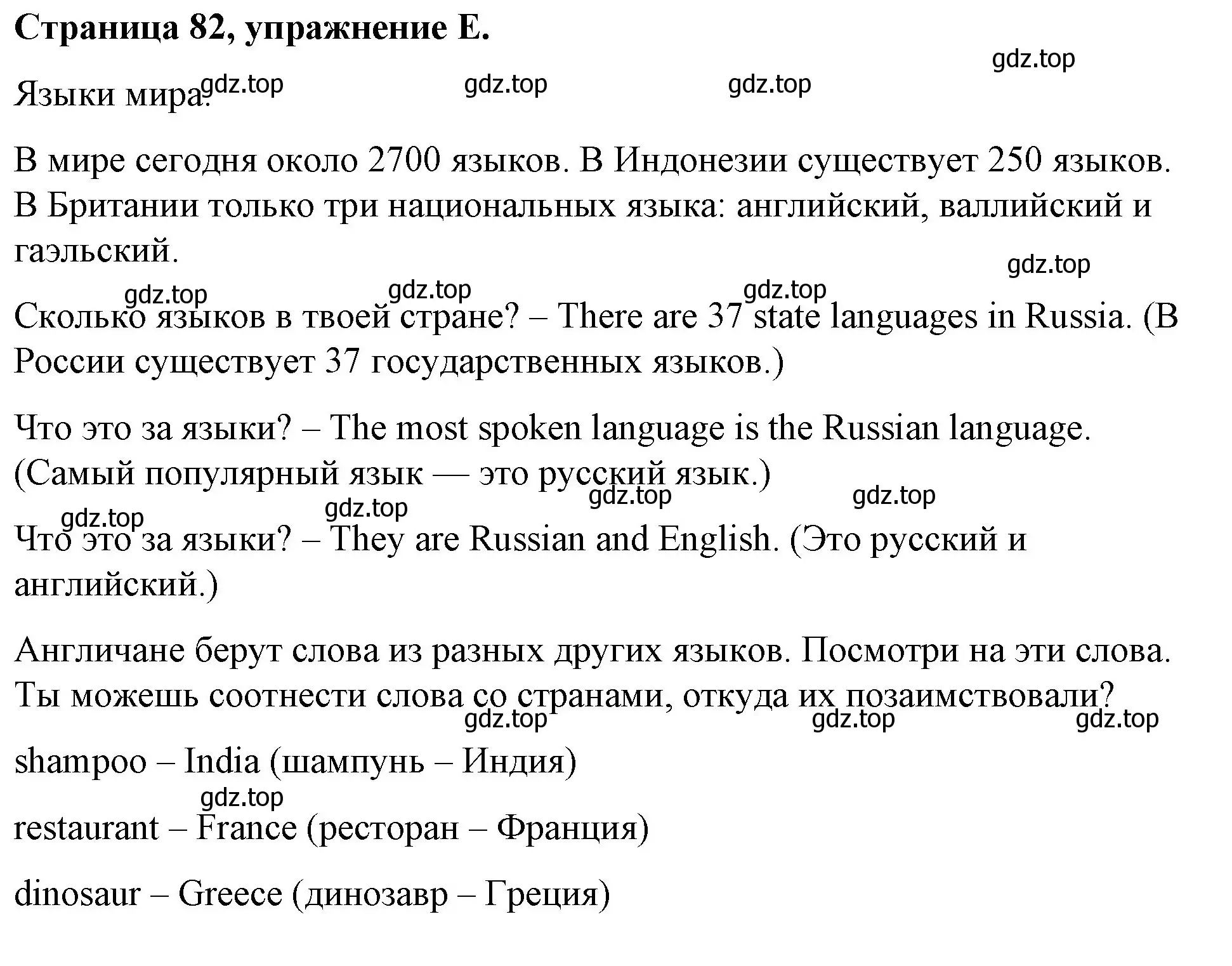 Решение номер E (страница 82) гдз по английскому языку 4 класс Вербицкая, Эббс, рабочая тетрадь