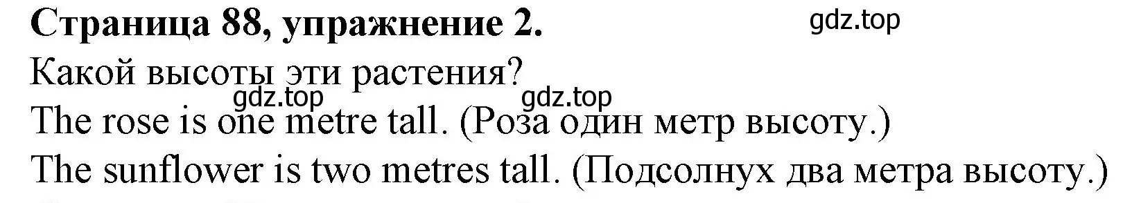 Решение номер 2 (страница 88) гдз по английскому языку 4 класс Вербицкая, Эббс, рабочая тетрадь