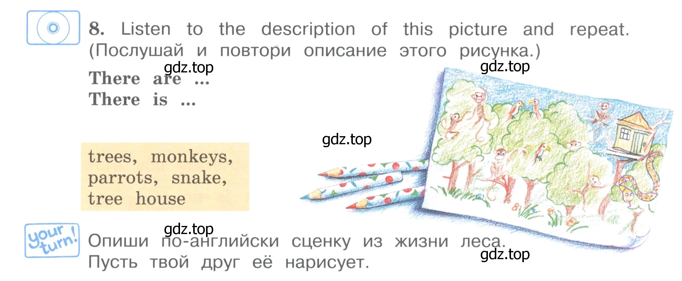 Условие номер 8 (страница 27) гдз по английскому языку 4 класс Вербицкая, Эббс, учебник 1 часть