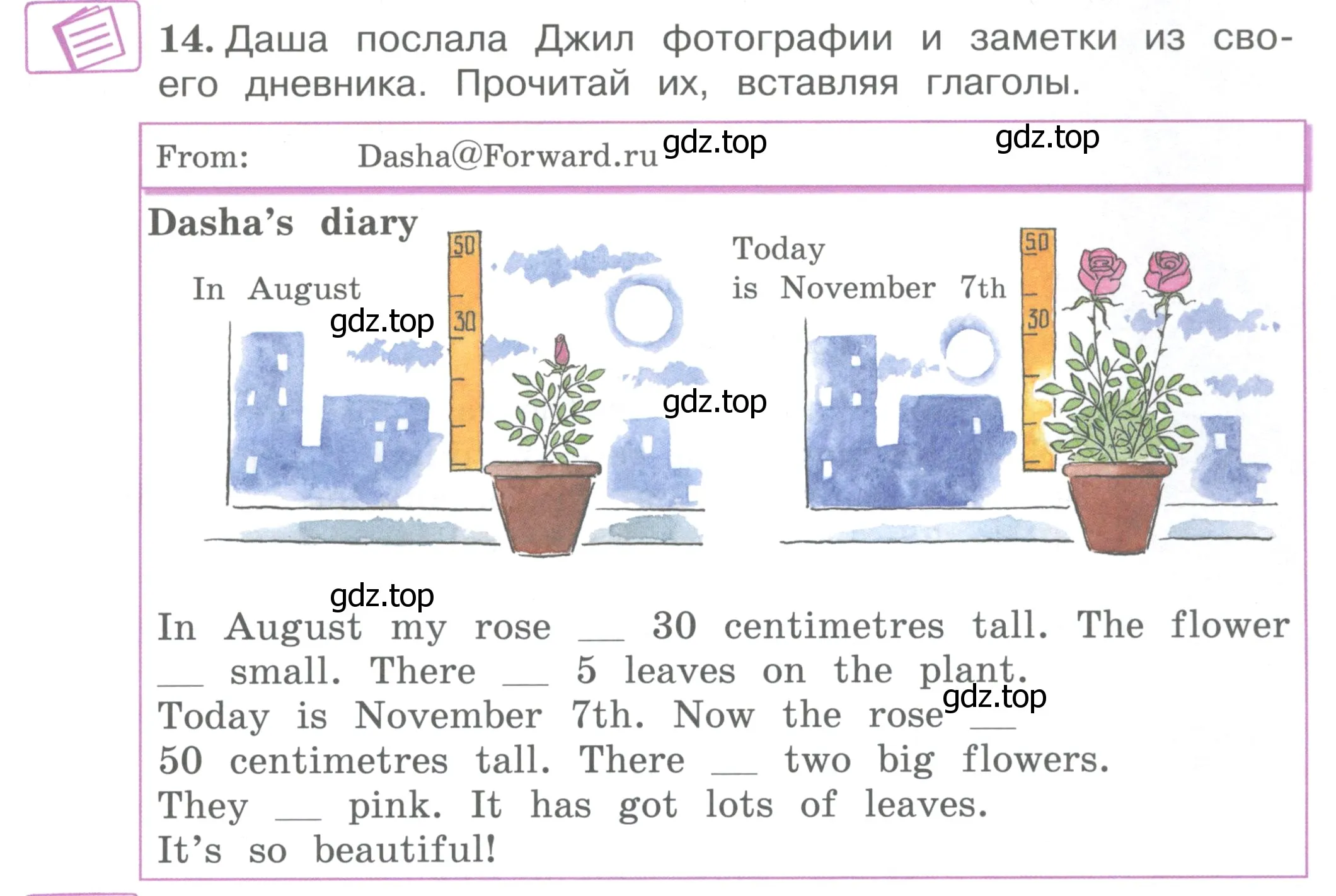 Условие номер 14 (страница 39) гдз по английскому языку 4 класс Вербицкая, Эббс, учебник 1 часть