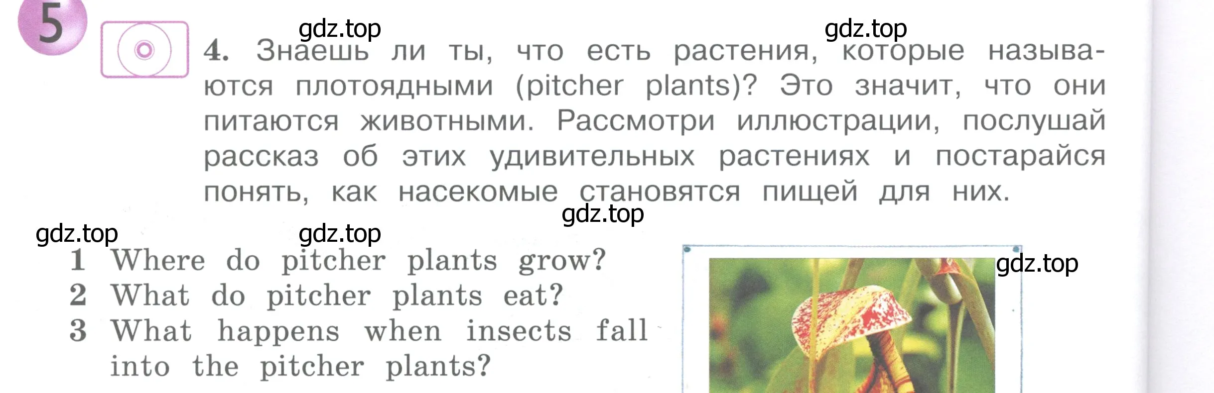 Условие номер 4 (страница 36) гдз по английскому языку 4 класс Вербицкая, Эббс, учебник 1 часть