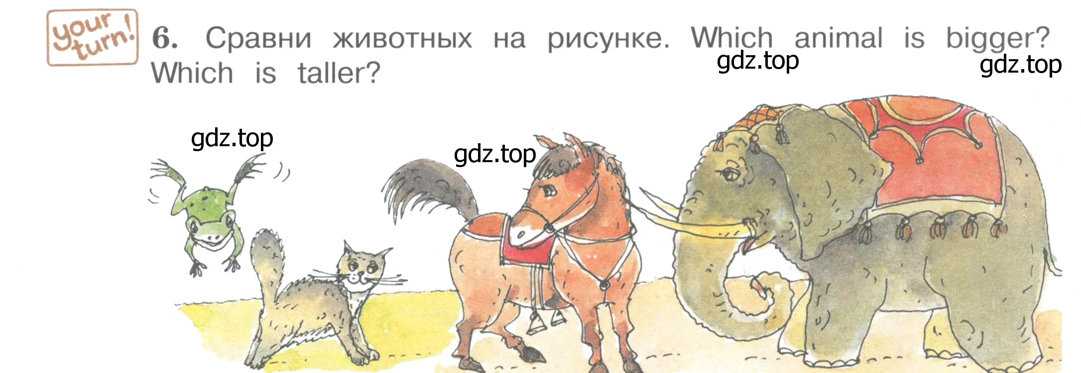 Условие номер 6 (страница 63) гдз по английскому языку 4 класс Вербицкая, Эббс, учебник 1 часть