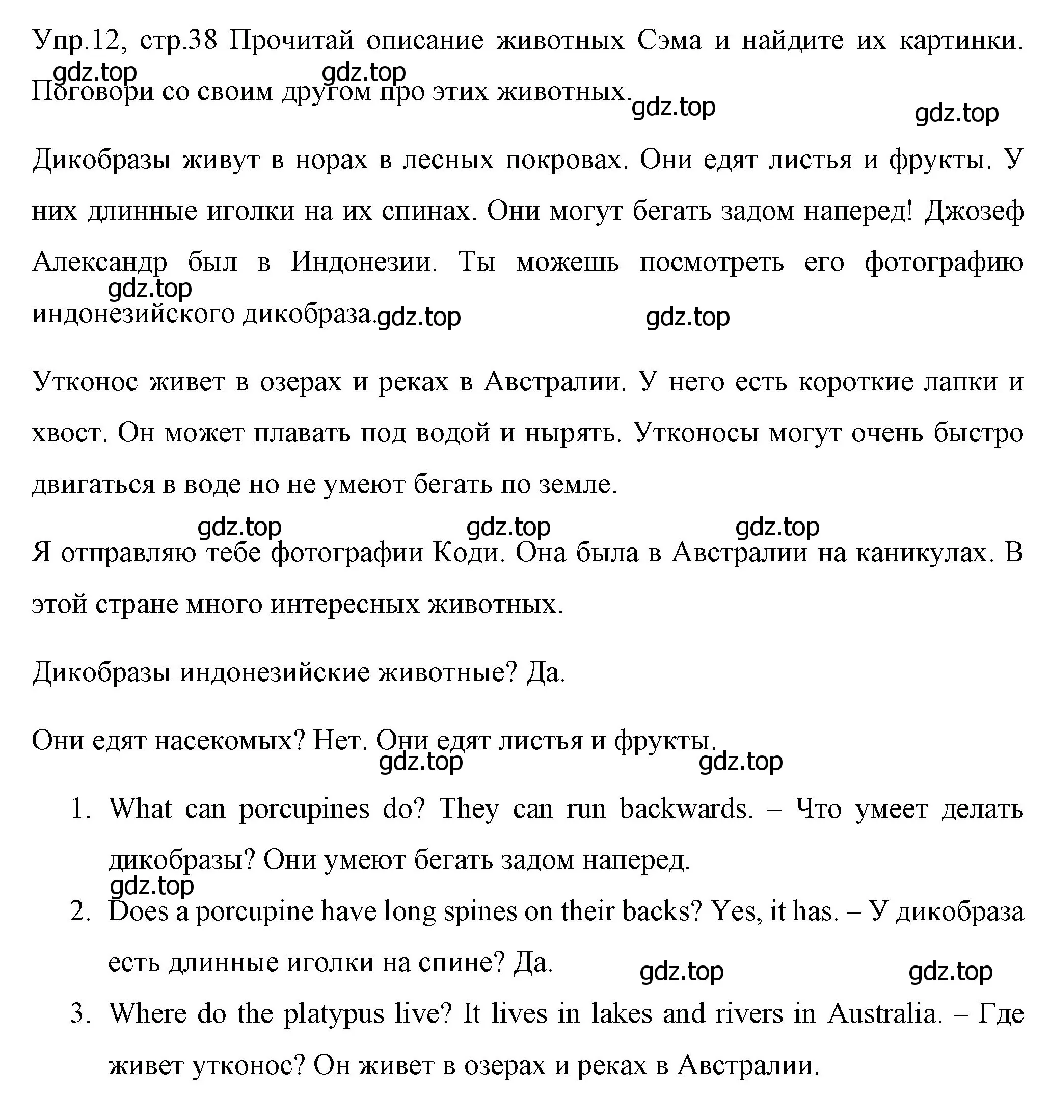 Решение номер 12 (страница 38) гдз по английскому языку 4 класс Вербицкая, Эббс, учебник 1 часть