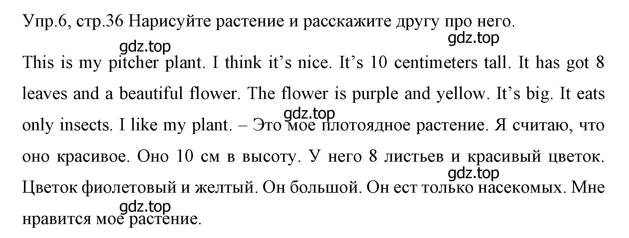 Решение номер 6 (страница 36) гдз по английскому языку 4 класс Вербицкая, Эббс, учебник 1 часть