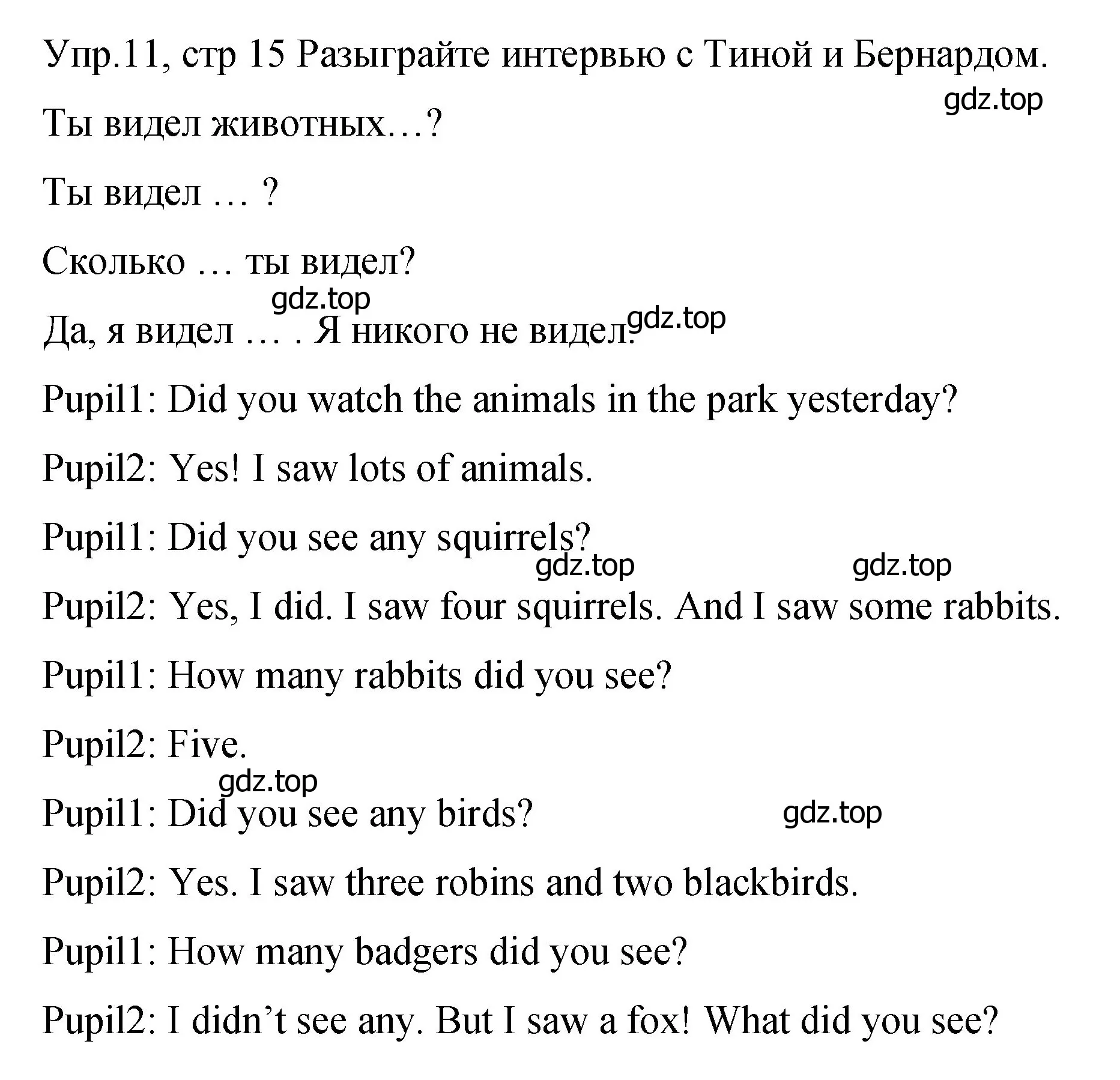 Решение номер 11 (страница 15) гдз по английскому языку 4 класс Вербицкая, Эббс, учебник 2 часть