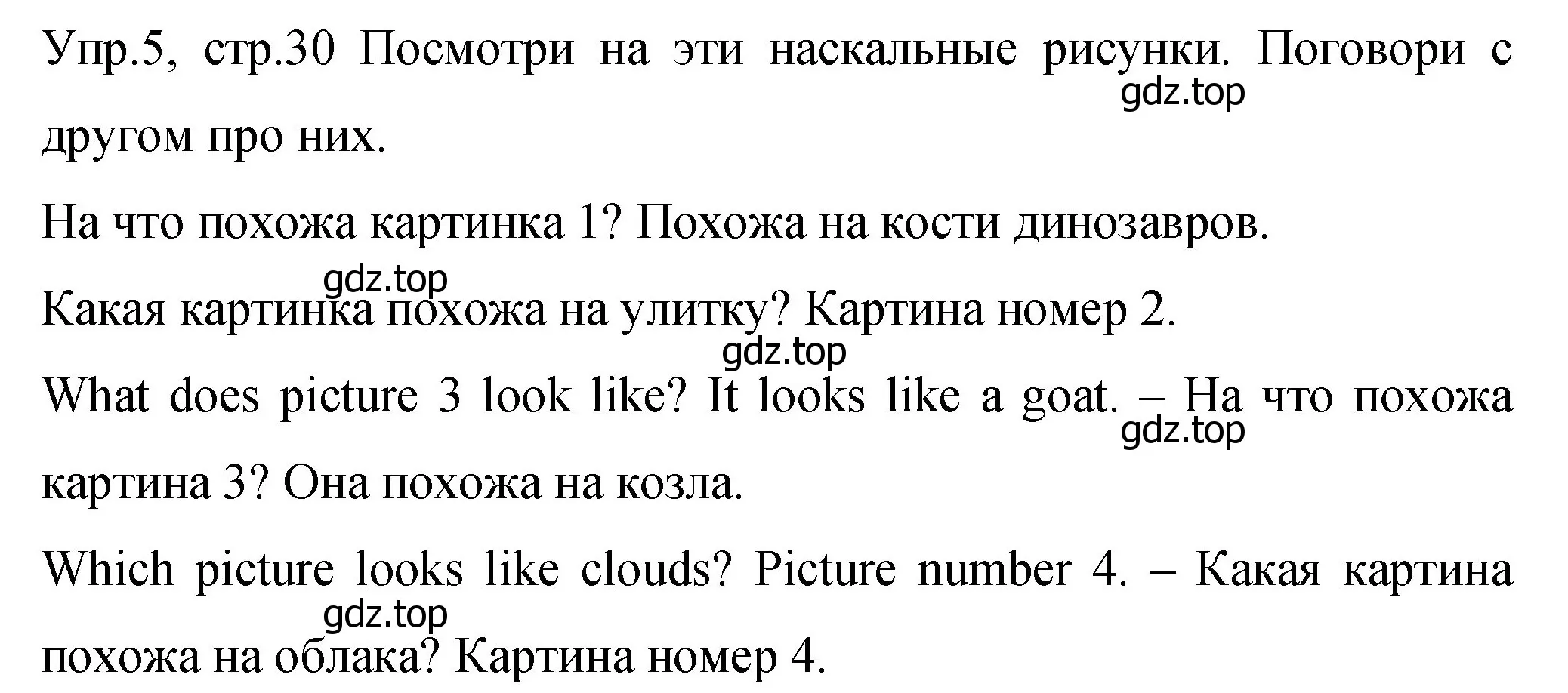 Решение номер 5 (страница 30) гдз по английскому языку 4 класс Вербицкая, Эббс, учебник 2 часть