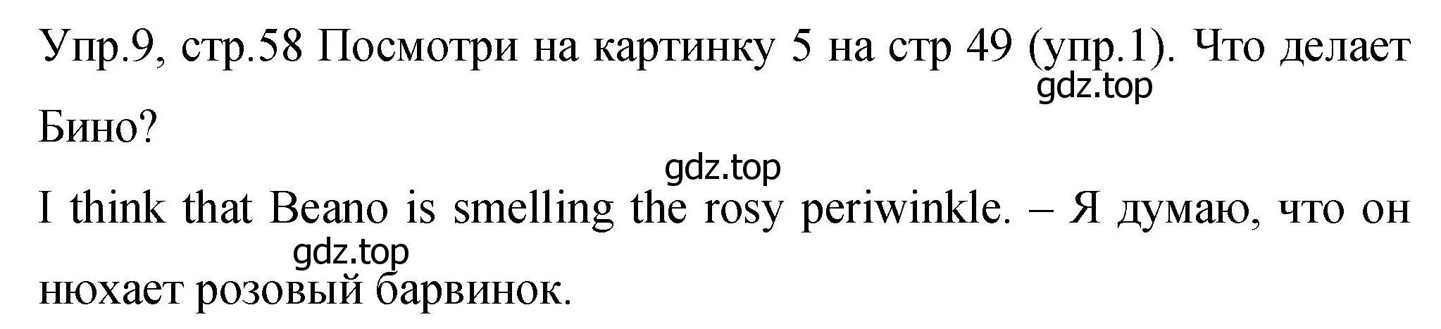 Решение номер 9 (страница 58) гдз по английскому языку 4 класс Вербицкая, Эббс, учебник 2 часть