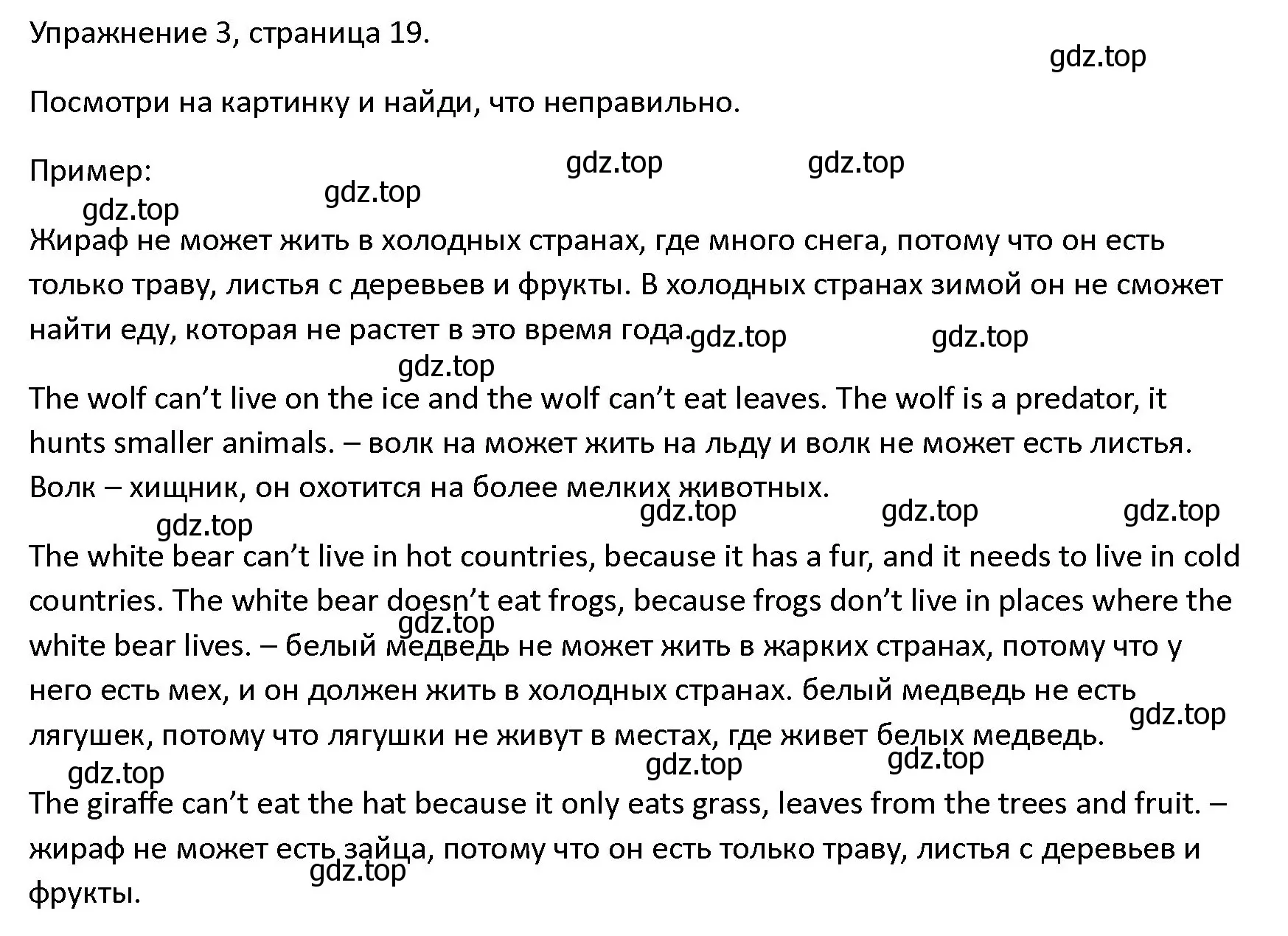 Решение номер 3 (страница 19) гдз по английскому языку 4 класс Верещагина, Афанасьева, учебник 1 часть