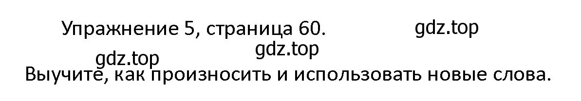 Решение номер 5 (страница 60) гдз по английскому языку 4 класс Верещагина, Афанасьева, учебник 1 часть