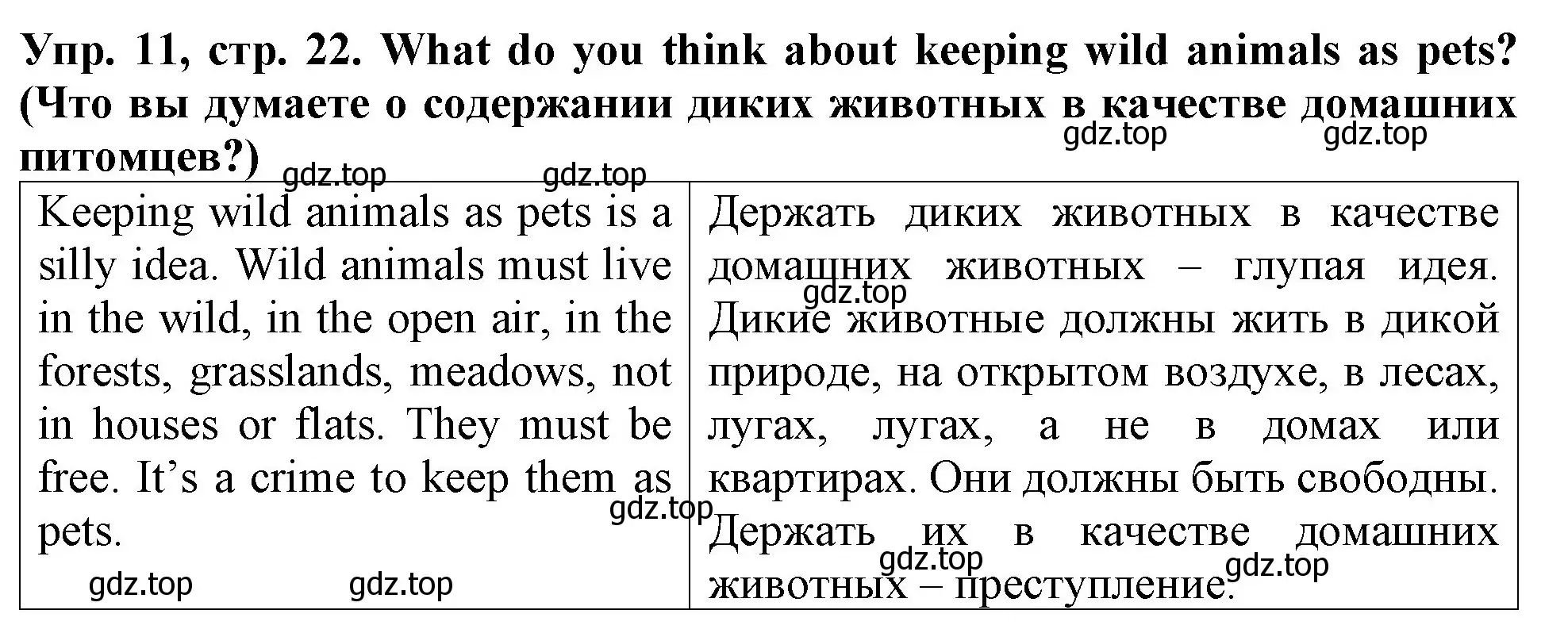 Решение 2. номер 11 (страница 22) гдз по английскому языку 4 класс Верещагина, Афанасьева, учебник 1 часть