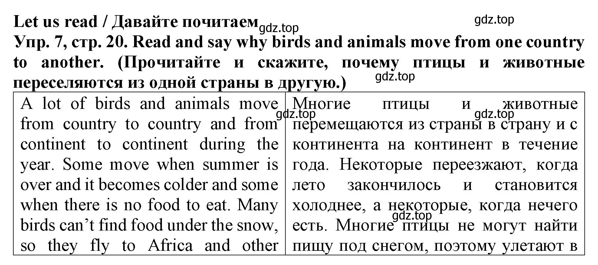 Решение 2. номер 7 (страница 20) гдз по английскому языку 4 класс Верещагина, Афанасьева, учебник 1 часть