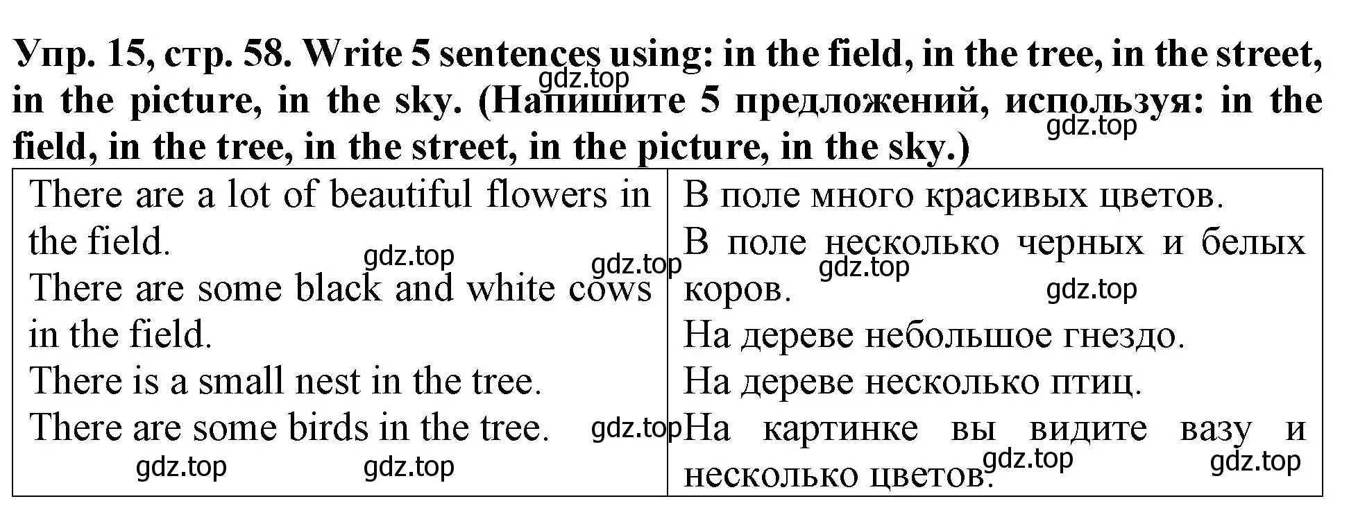 Решение 2. номер 15 (страница 58) гдз по английскому языку 4 класс Верещагина, Афанасьева, учебник 1 часть