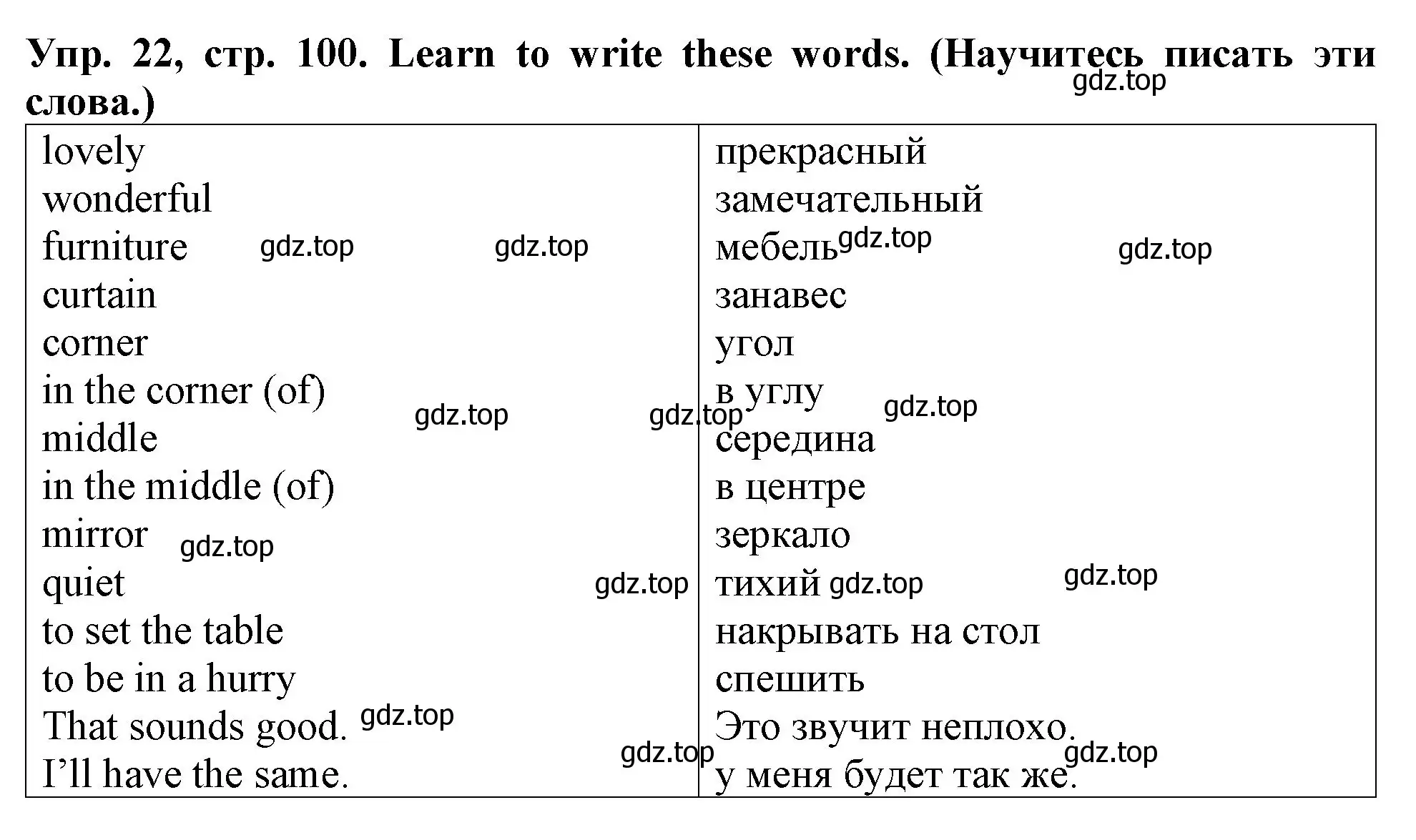 Решение 2. номер 22 (страница 100) гдз по английскому языку 4 класс Верещагина, Афанасьева, учебник 1 часть