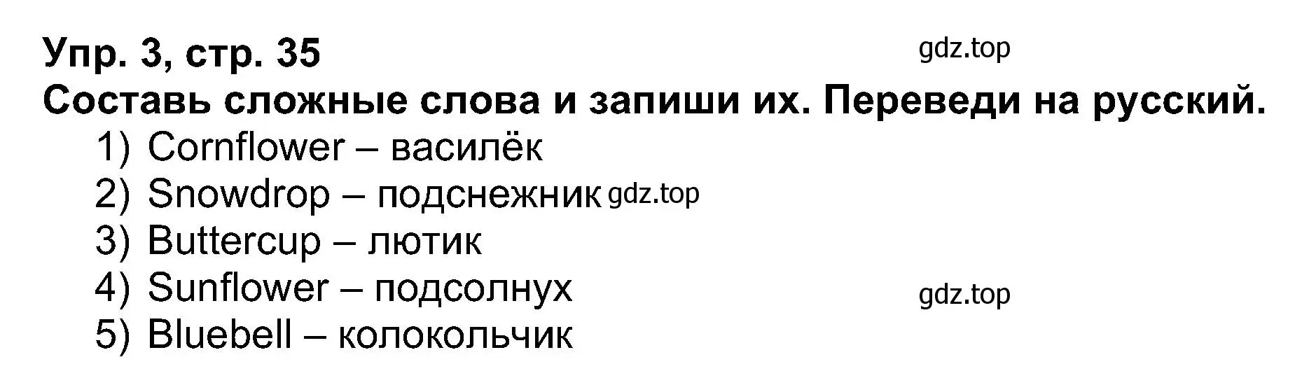 Решение номер 3 (страница 35) гдз по английскому языку 5 класс Афанасьева, Михеева, рабочая тетрадь