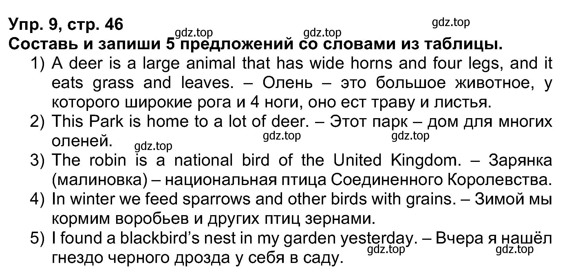 Решение номер 9 (страница 46) гдз по английскому языку 5 класс Афанасьева, Михеева, рабочая тетрадь