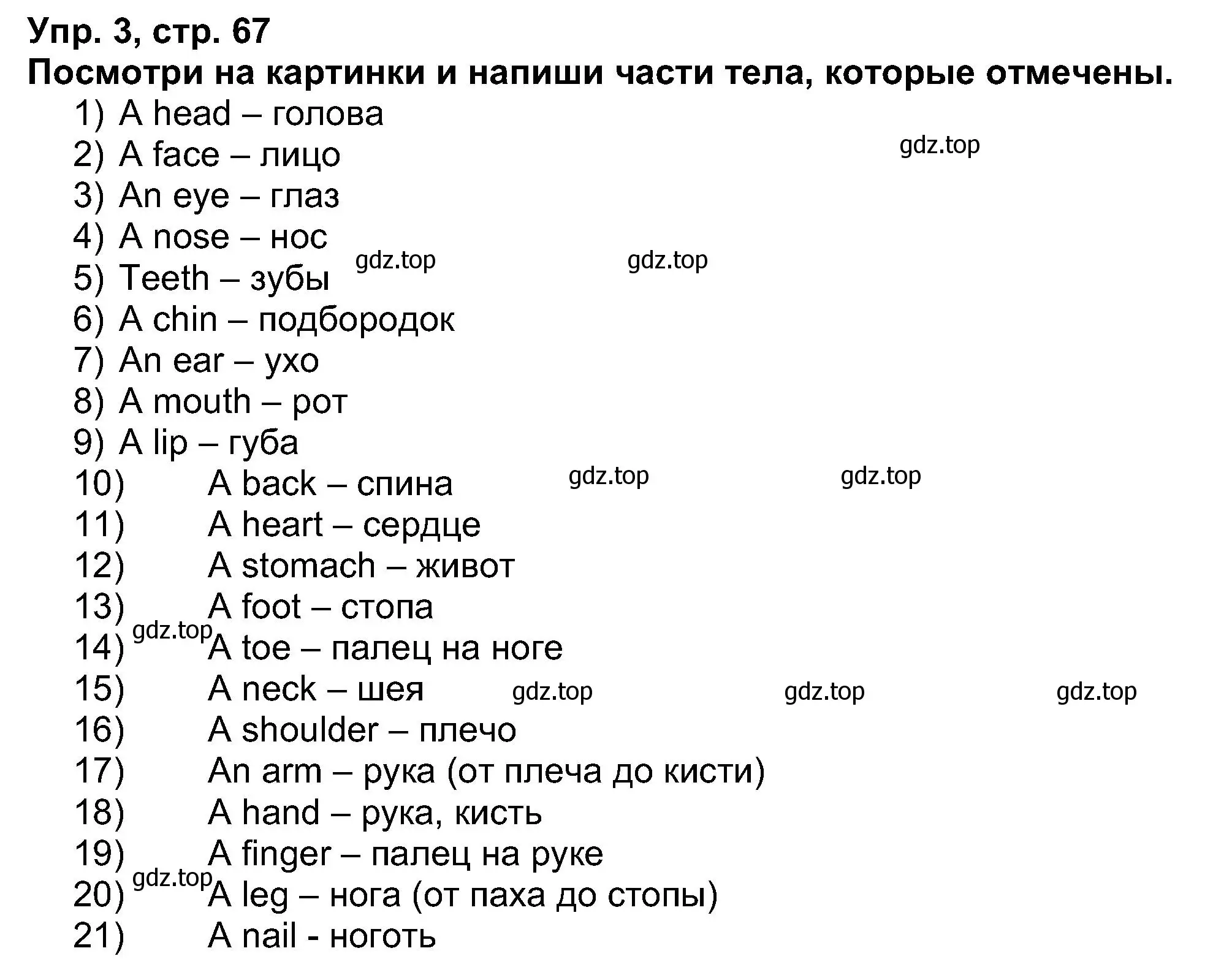 Решение номер 3 (страница 67) гдз по английскому языку 5 класс Афанасьева, Михеева, рабочая тетрадь
