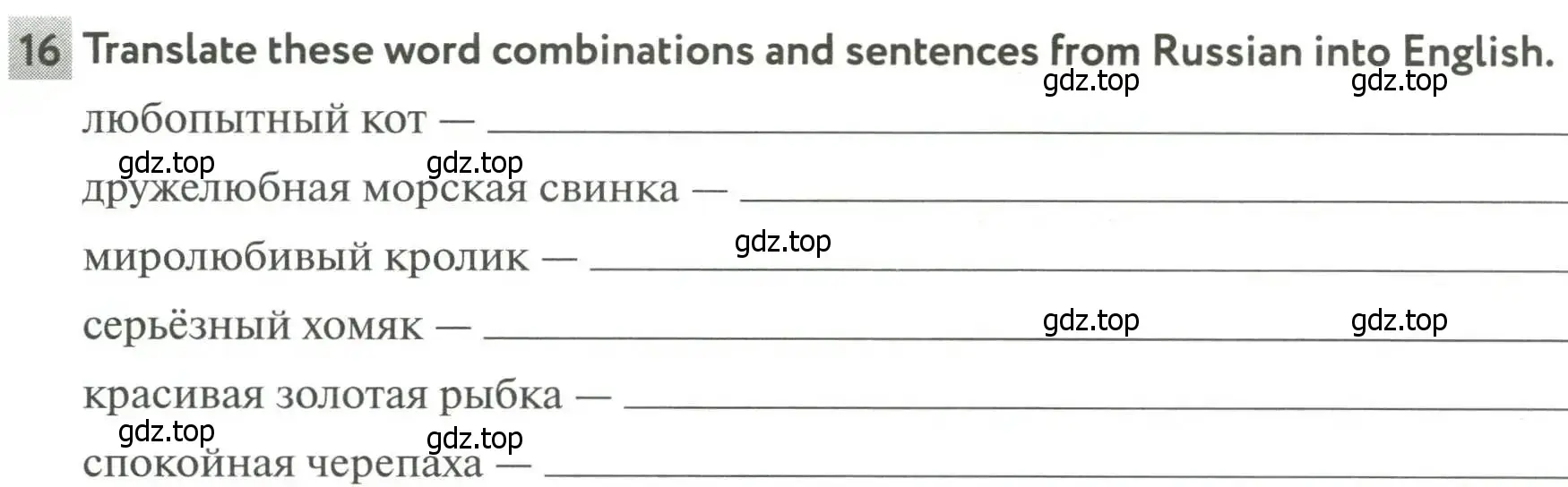 Условие номер 16 (страница 72) гдз по английскому языку 5 класс Биболетова, Денисенко, рабочая тетрадь