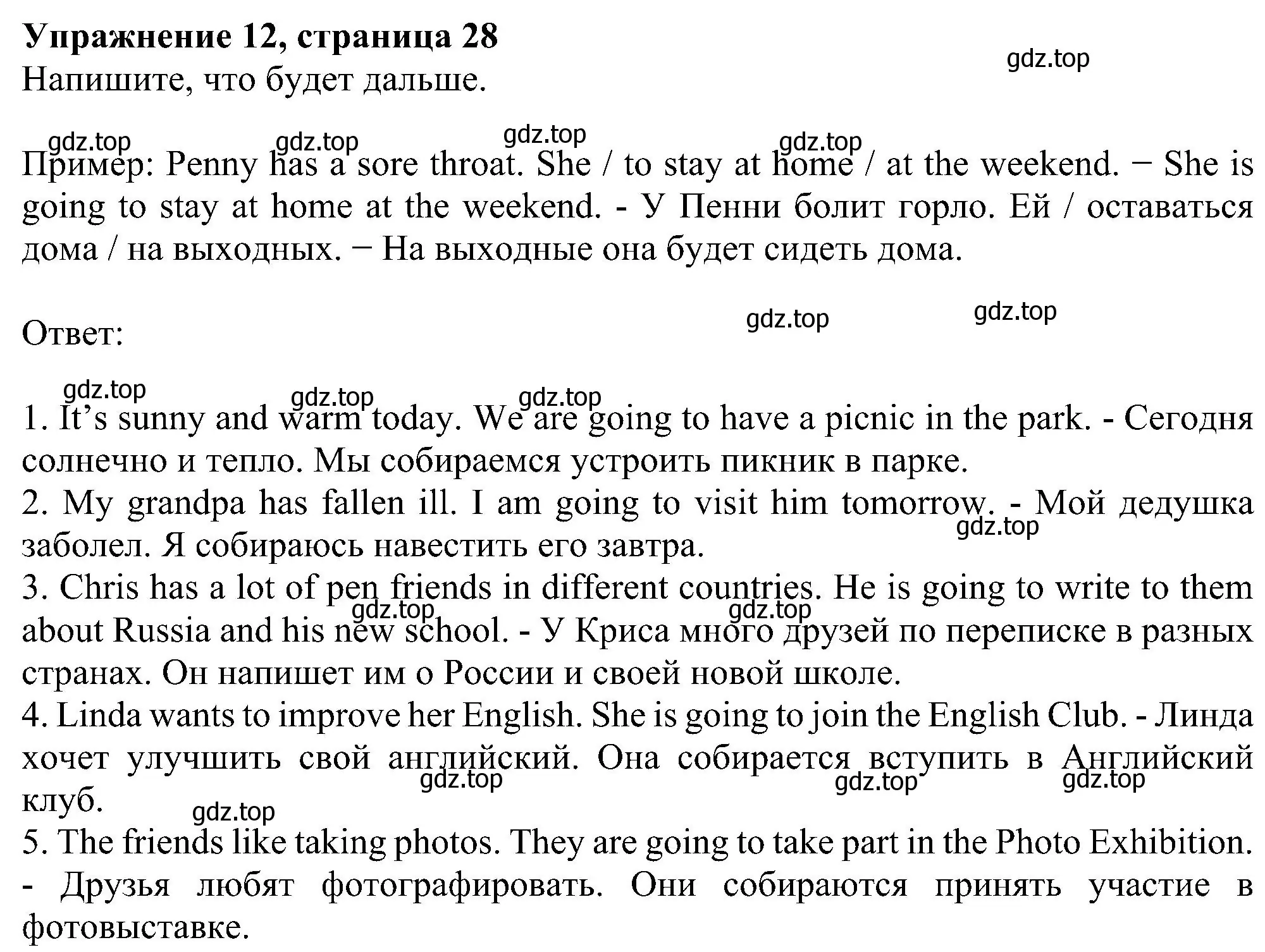 Решение номер 12 (страница 28) гдз по английскому языку 5 класс Биболетова, Денисенко, рабочая тетрадь