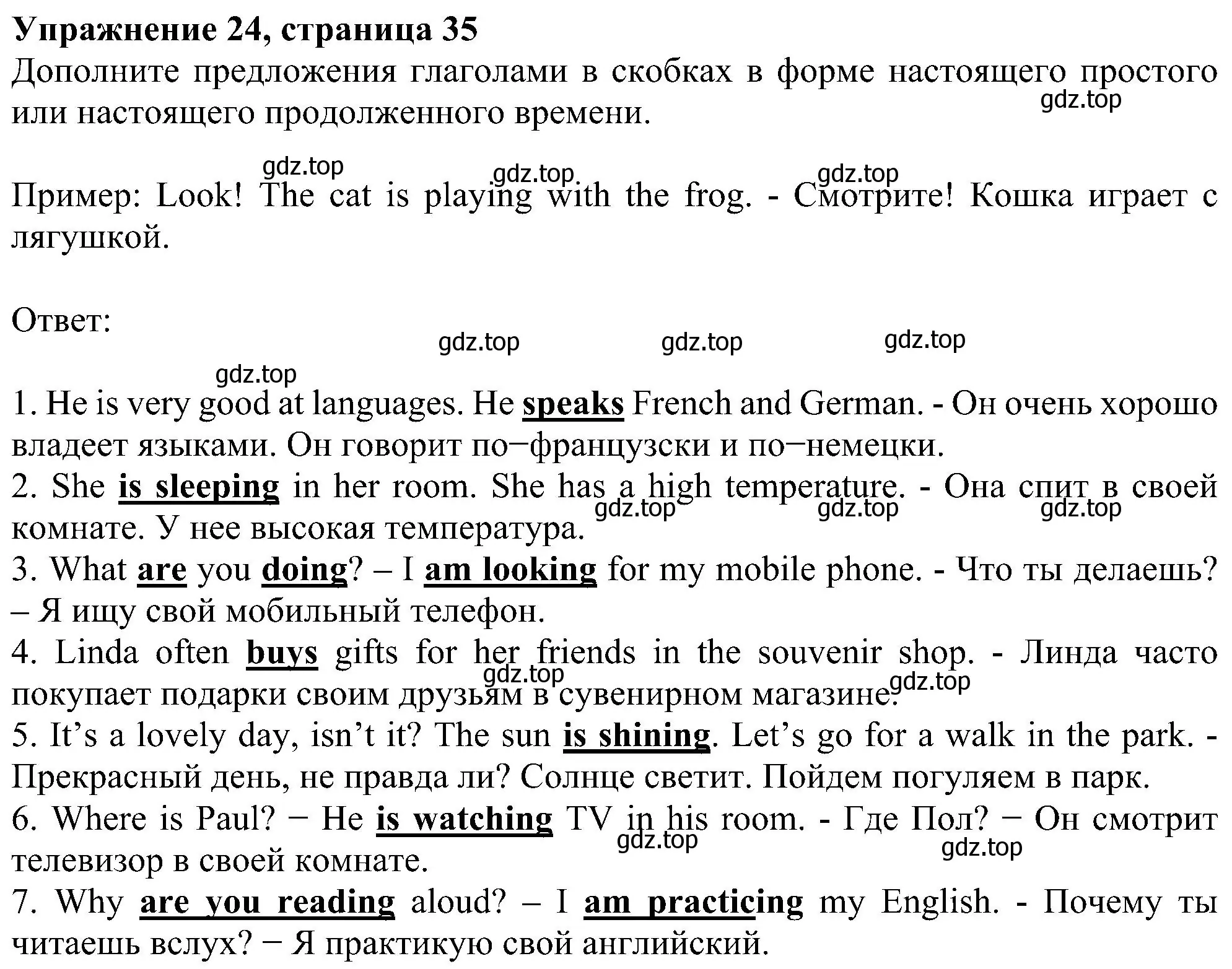 Решение номер 24 (страница 35) гдз по английскому языку 5 класс Биболетова, Денисенко, рабочая тетрадь