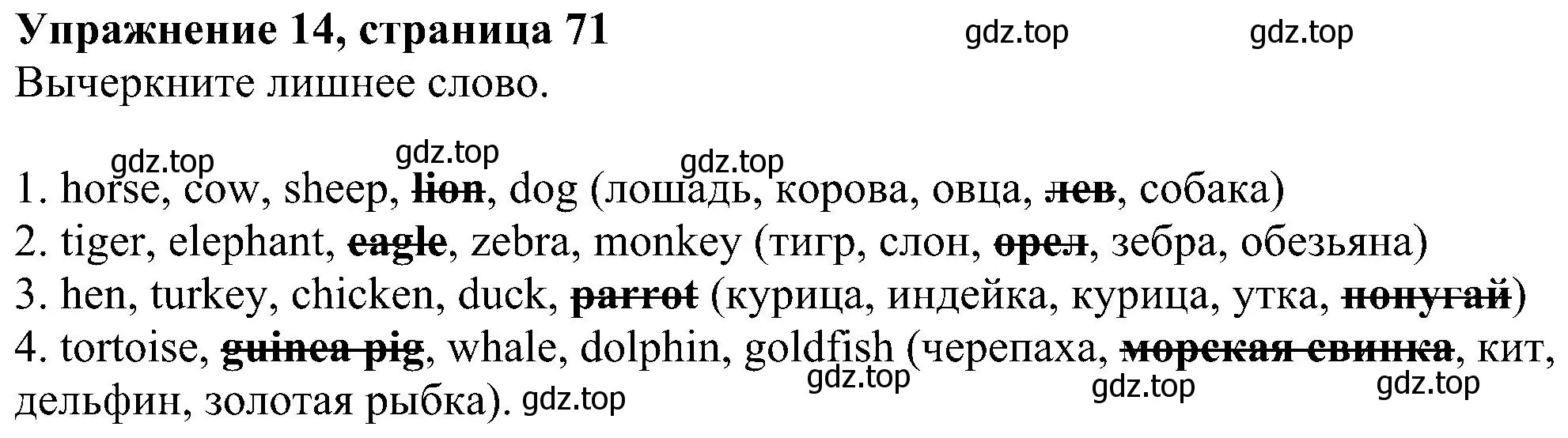 Решение номер 14 (страница 71) гдз по английскому языку 5 класс Биболетова, Денисенко, рабочая тетрадь