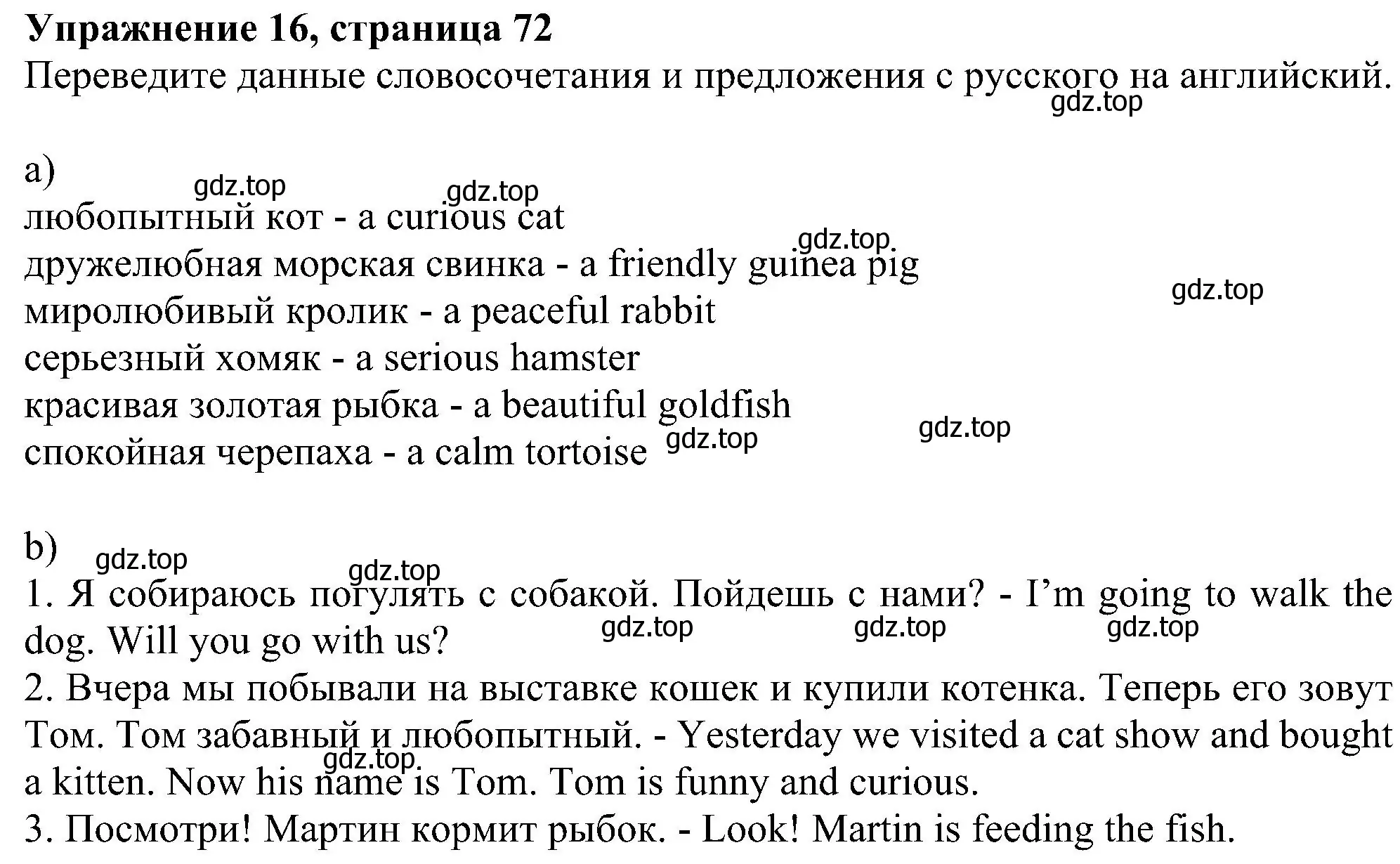 Решение номер 16 (страница 72) гдз по английскому языку 5 класс Биболетова, Денисенко, рабочая тетрадь