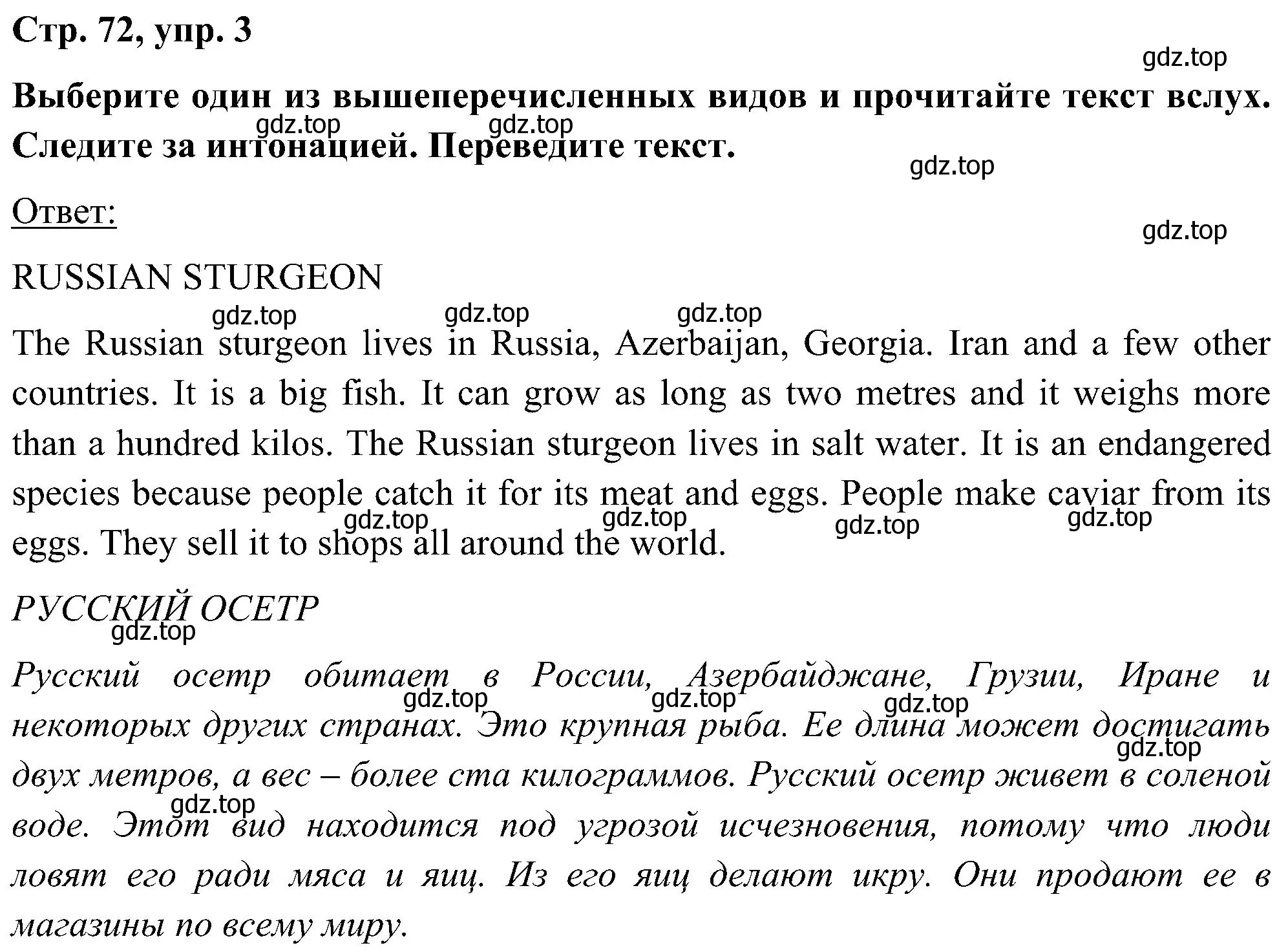 Решение номер 3 (страница 72) гдз по английскому языку 5 класс Комарова, Ларионова, учебник